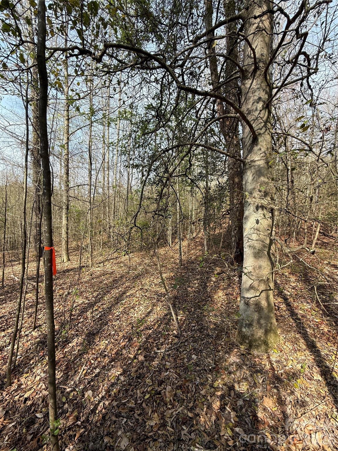 MASTERPIECE MEADOWS - Land