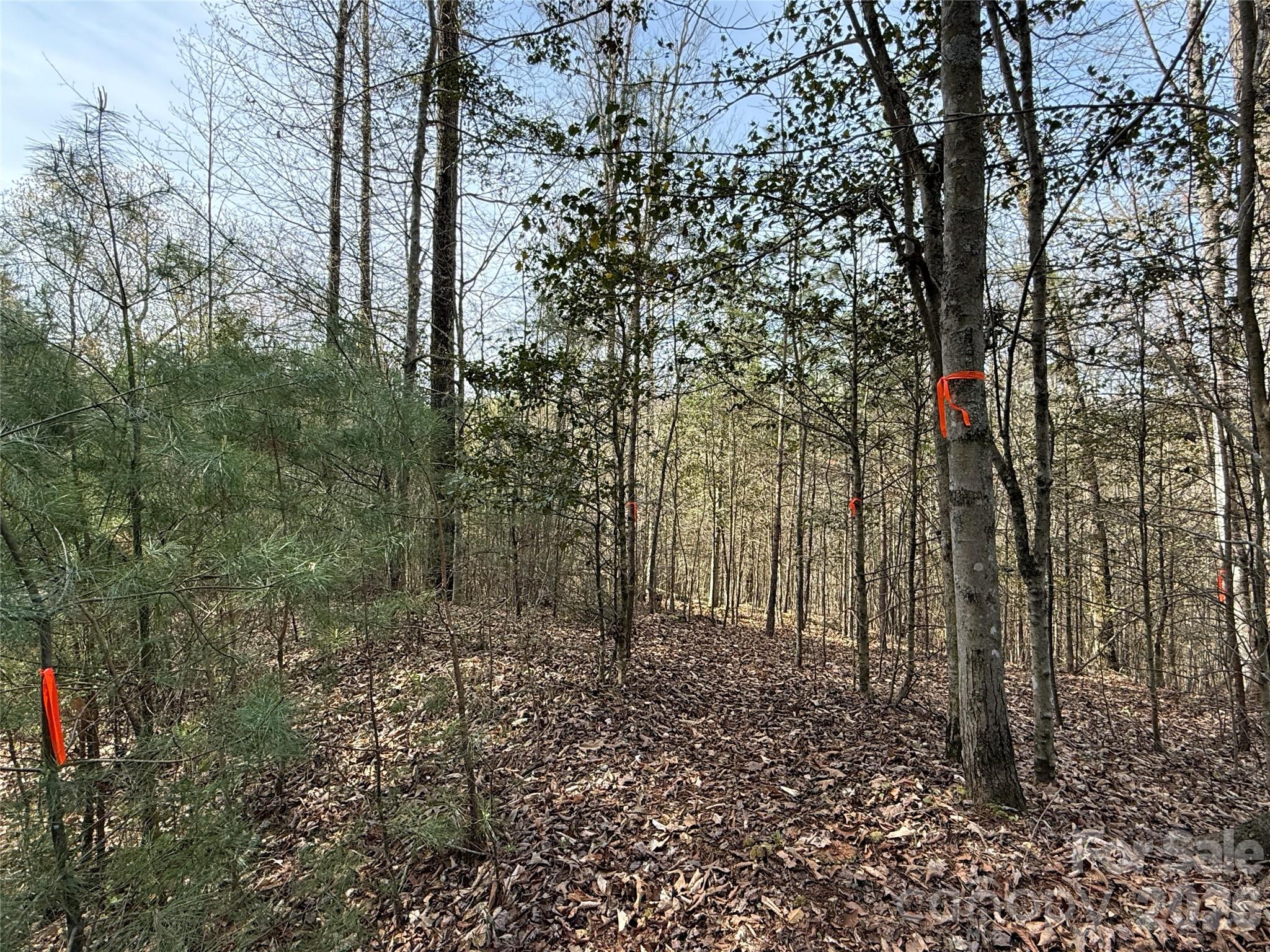 MASTERPIECE MEADOWS - Land