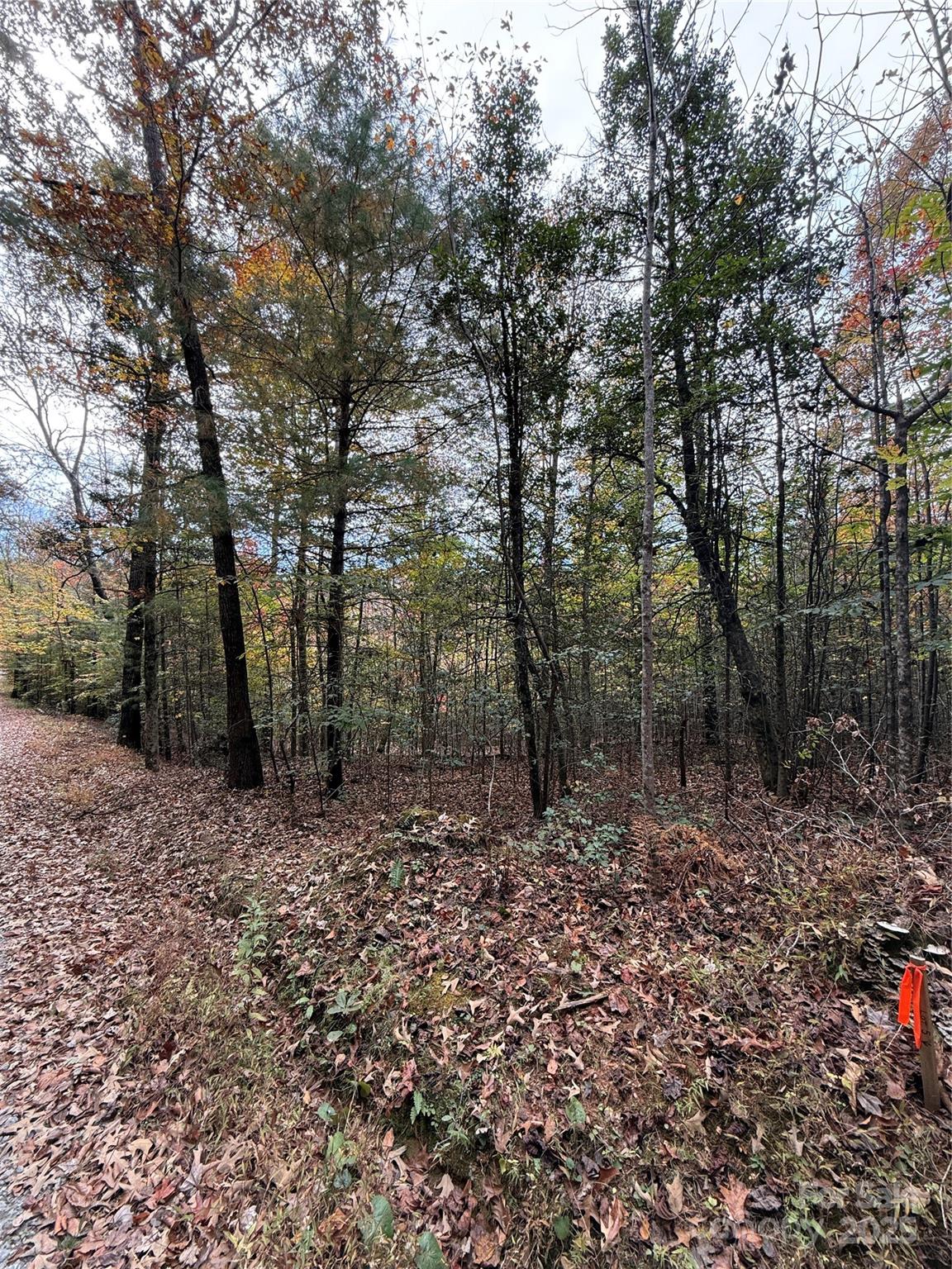 Lot # 4 West Legacy Drive 4