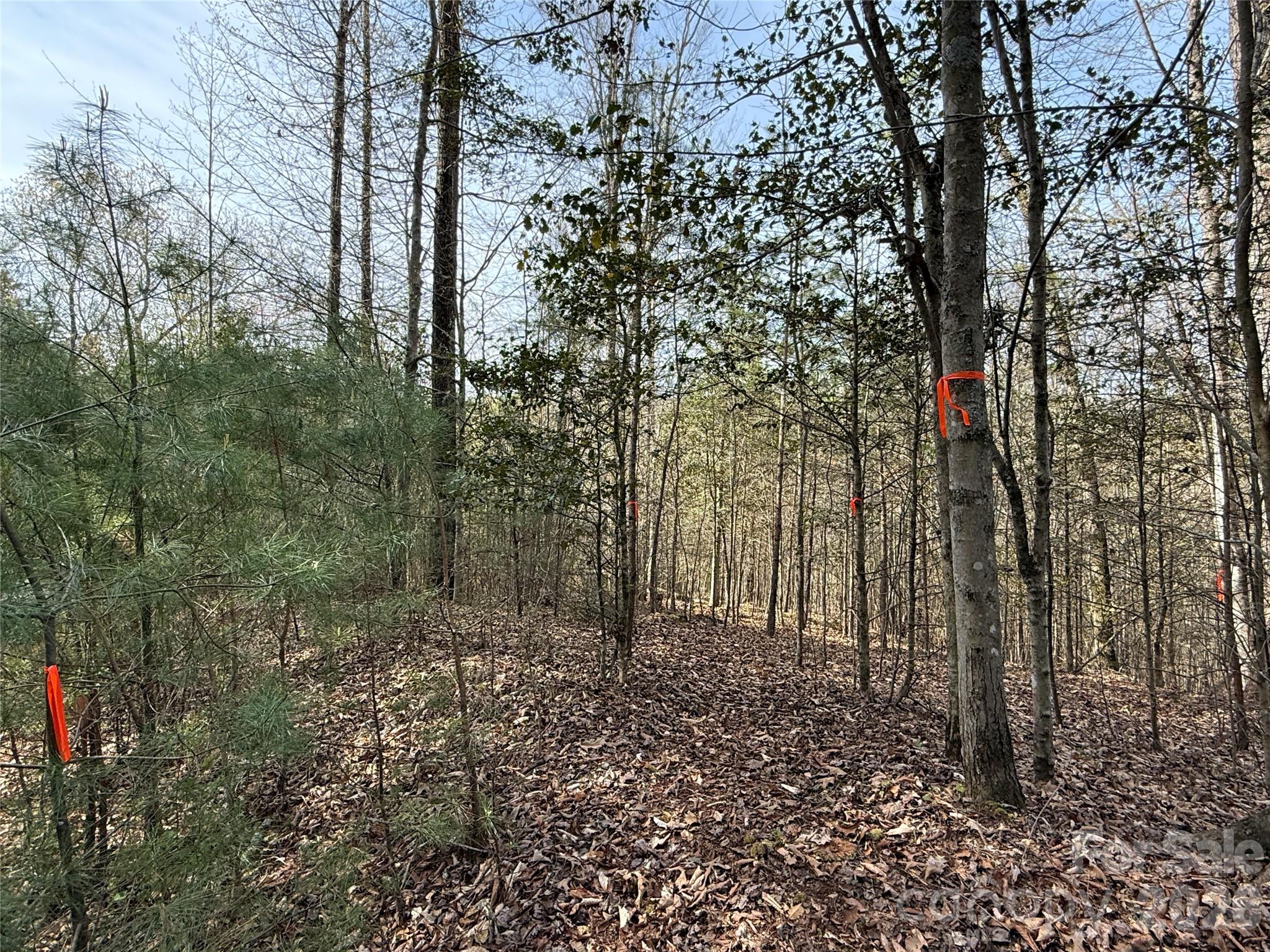 MASTERPIECE MEADOWS - Land