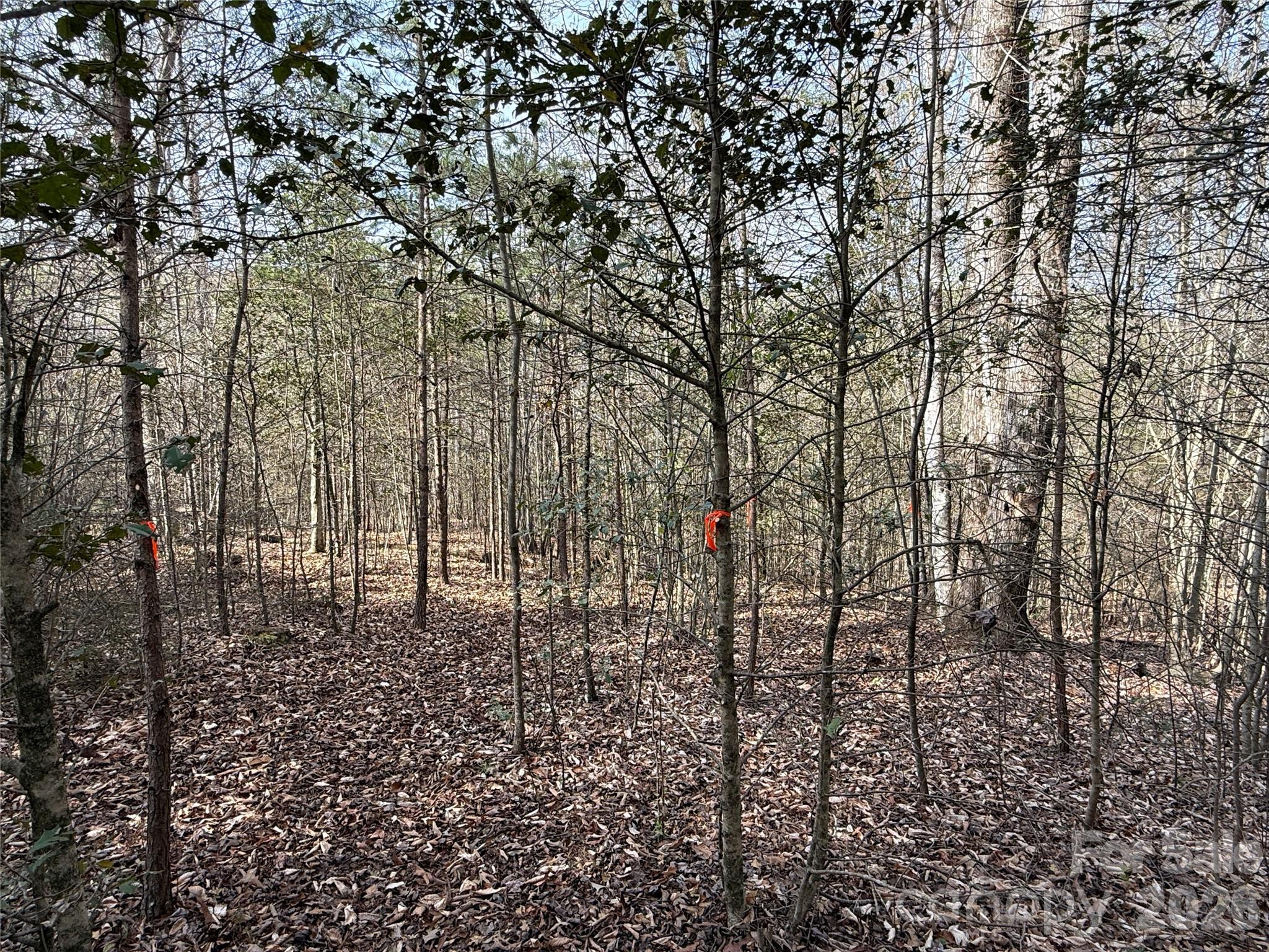 MASTERPIECE MEADOWS - Land