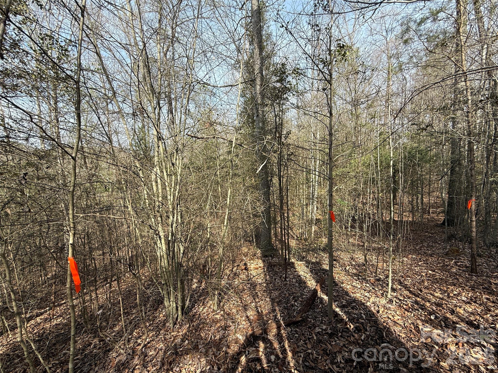 MASTERPIECE MEADOWS - Land