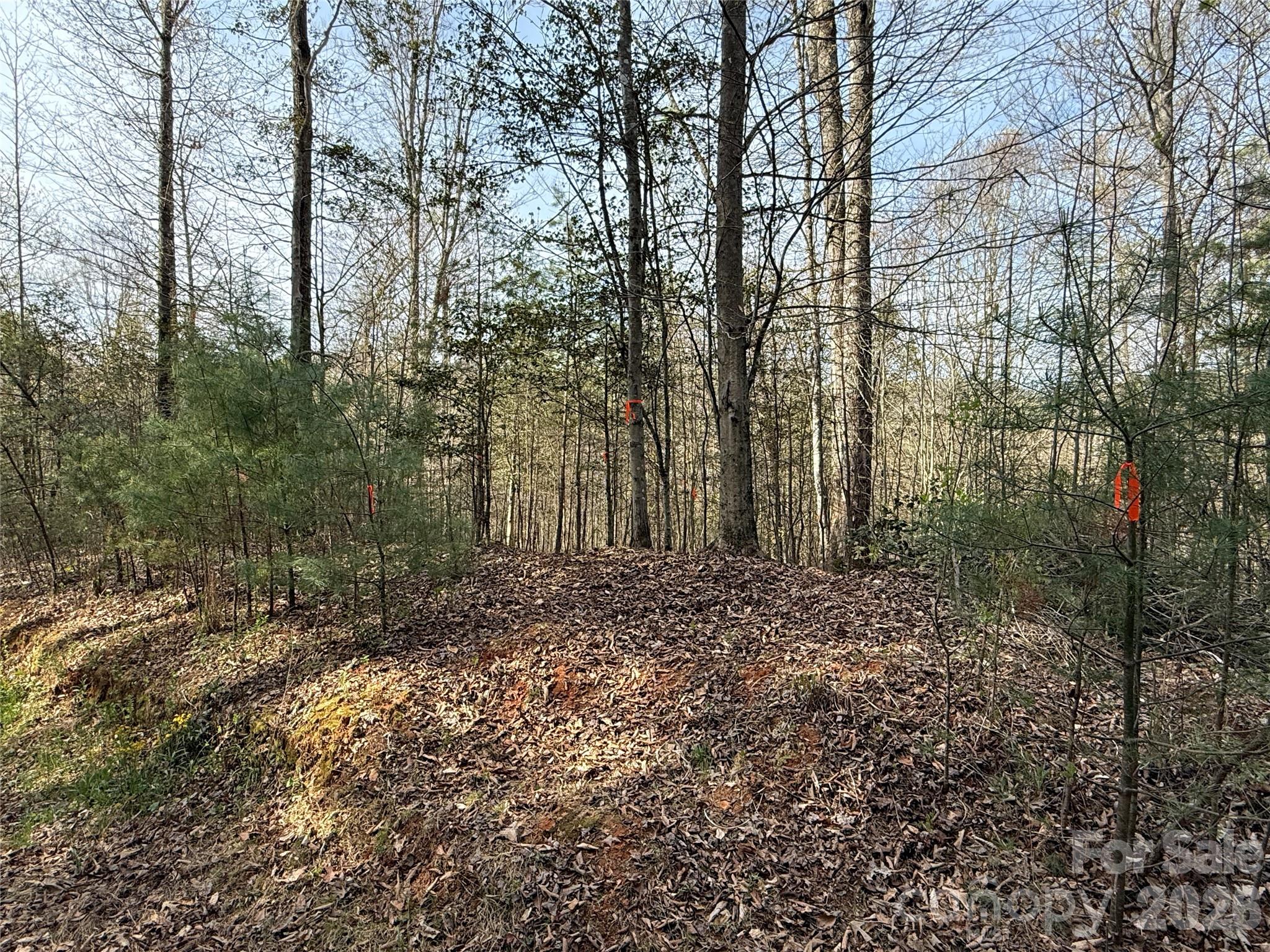 MASTERPIECE MEADOWS - Land