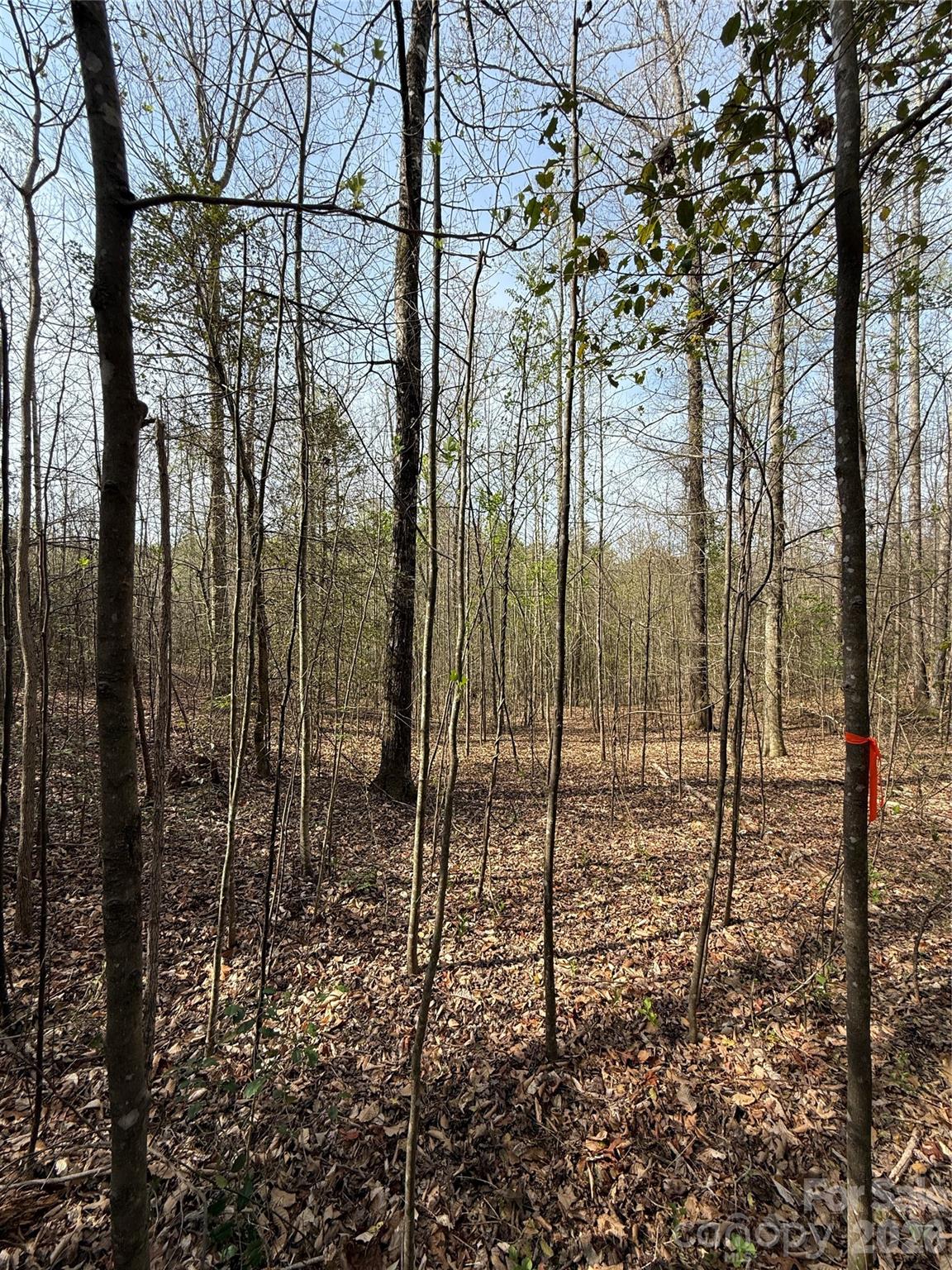 MASTERPIECE MEADOWS - Land