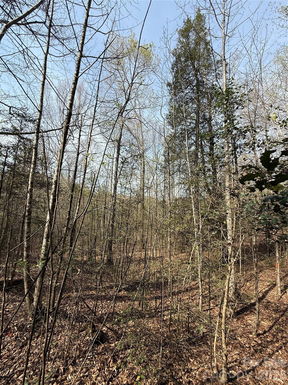 MASTERPIECE MEADOWS - Land