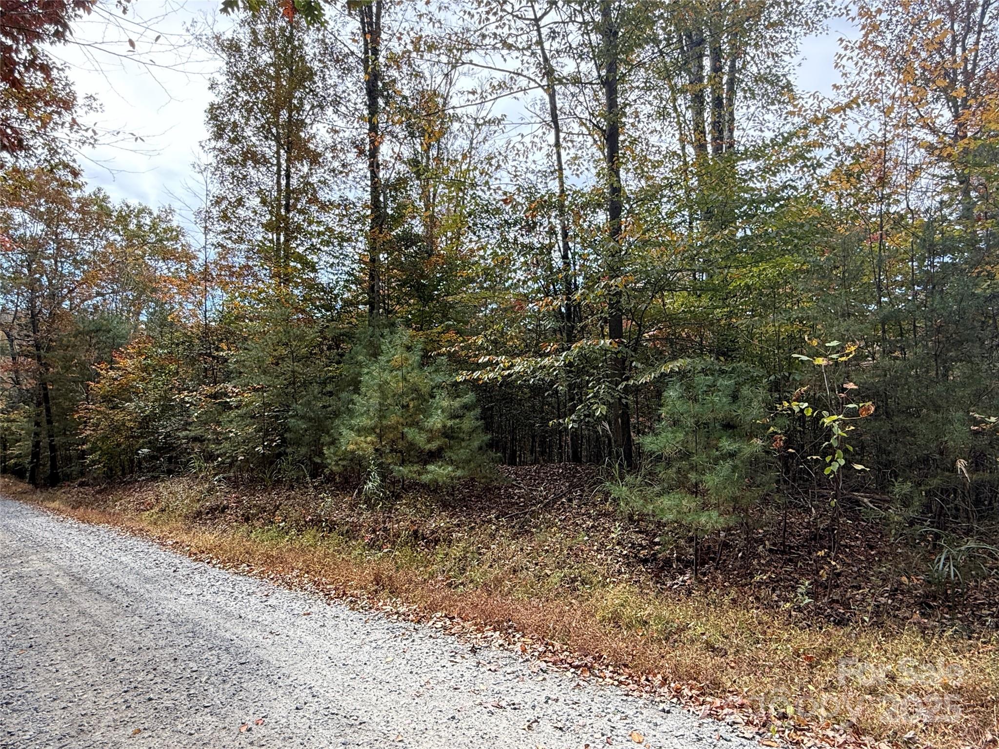 MASTERPIECE MEADOWS - Land