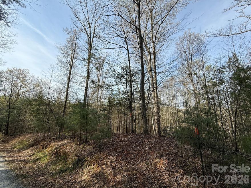 Masterpiece Meadows presents a rare opportunity to build your dream home in one of Western North Carolina’s most breathtaking settings. With sweeping, layered mountain views and a serene, secluded atmosphere, this exclusive enclave offers a harmonious blend of natural beauty and refined mountain living in Hendersonville, North Carolina. Ideally situated between Hendersonville and Brevard, Masterpiece Meadows has six thoughtfully planned estate homesites. Masterpiece Meadows lots are less than a mile from the French Broad River put-in, approximately 12 minutes from both DuPont State Forest and Pisgah National Forest, and only 5 minutes from local grocery stores, pharmacies, and restaurants. Two hospitals are within a 15-minute drive. The homesite is nearly level, providing flexibility for a slab-on-grade or crawl-space foundation.  Easy to show and flat homesites, this offering is worth your time and attention and call for an appointment today.