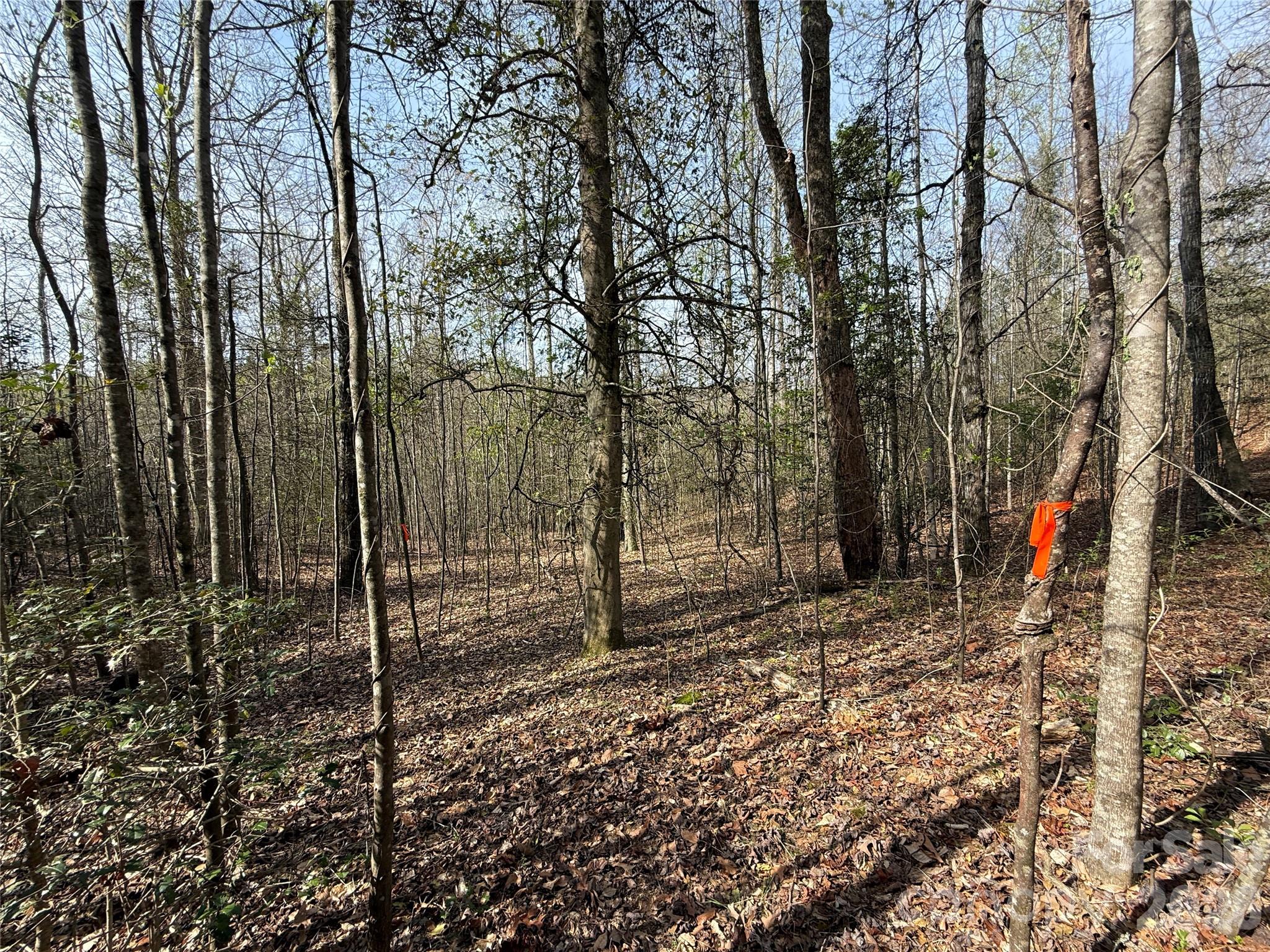 MASTERPIECE MEADOWS - Land