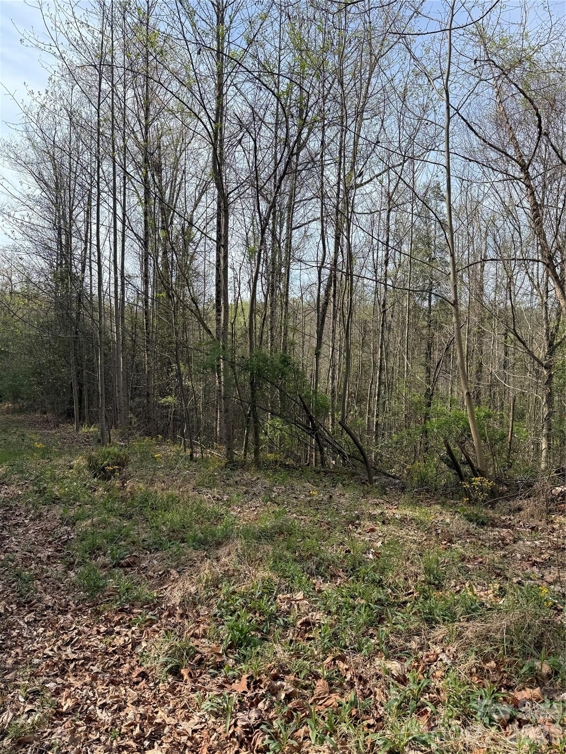 MASTERPIECE MEADOWS - Land