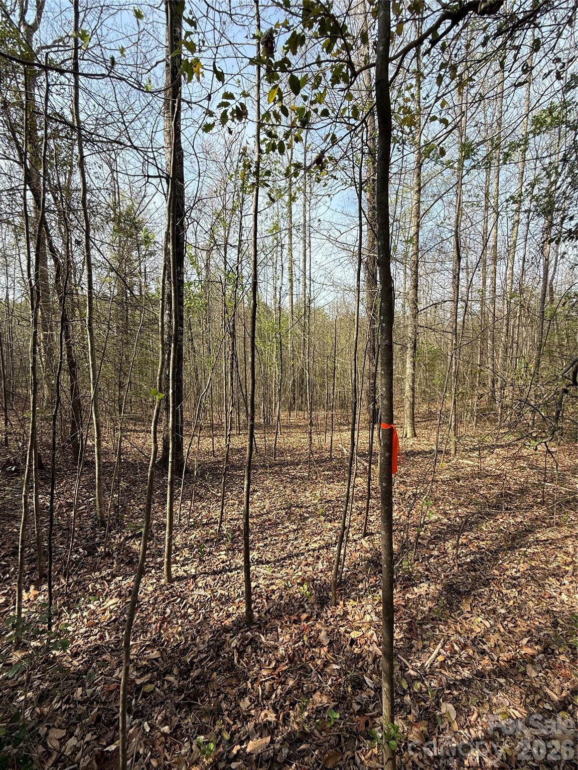 MASTERPIECE MEADOWS - Land