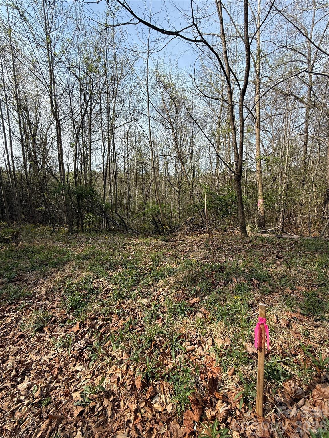 MASTERPIECE MEADOWS - Land