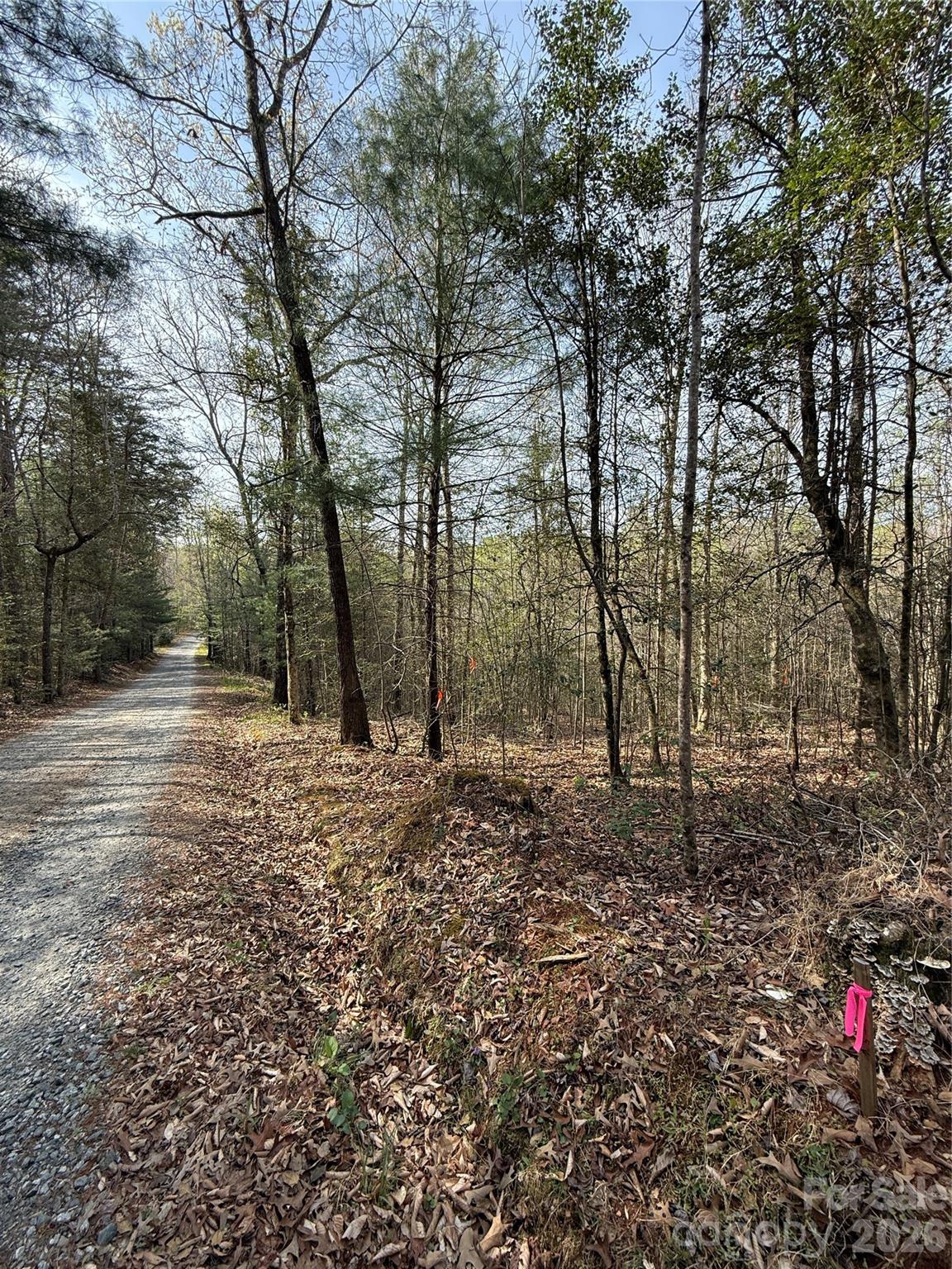 MASTERPIECE MEADOWS - Land