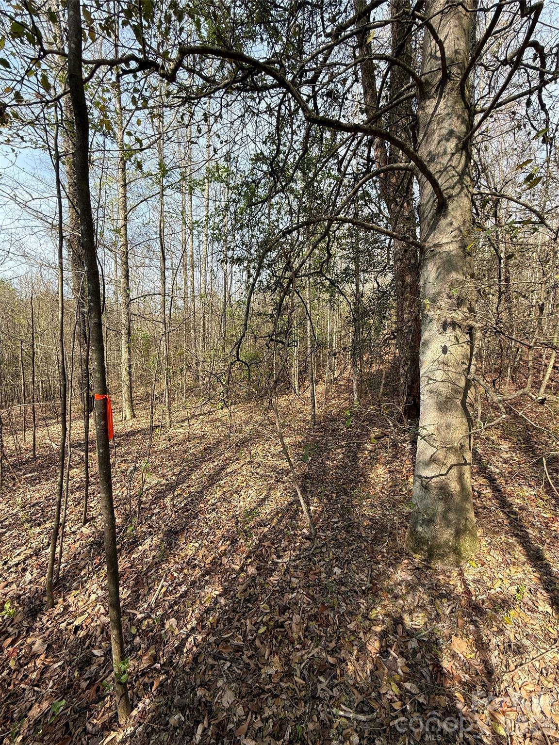 MASTERPIECE MEADOWS - Land