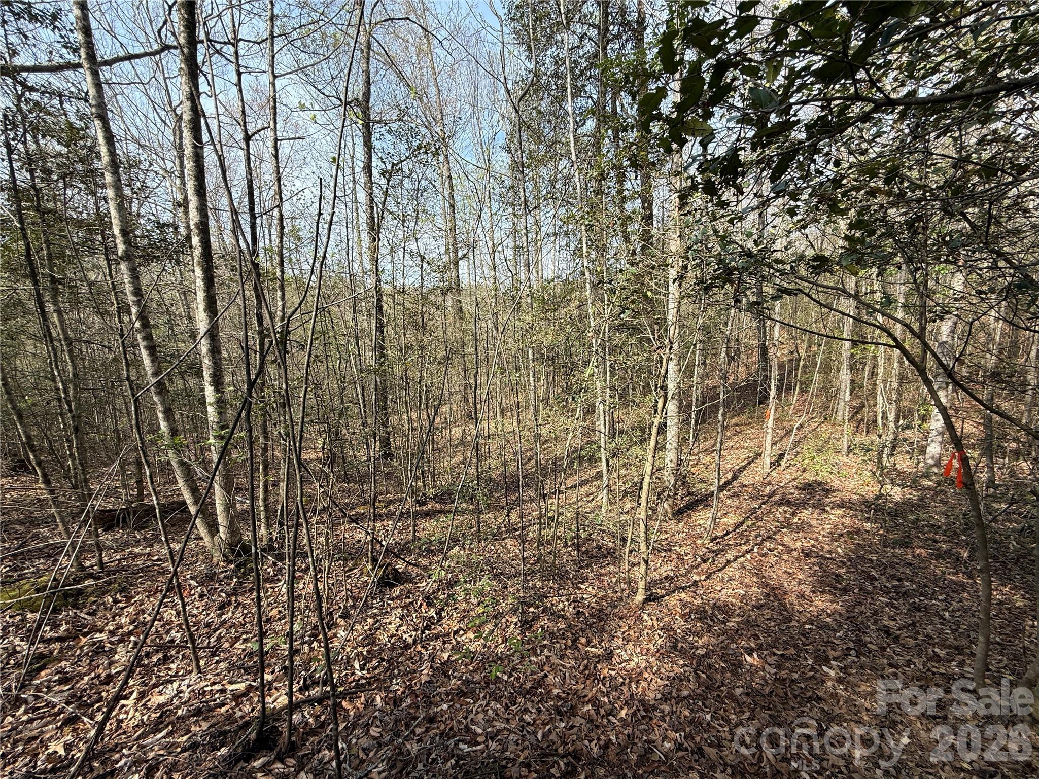 MASTERPIECE MEADOWS - Land