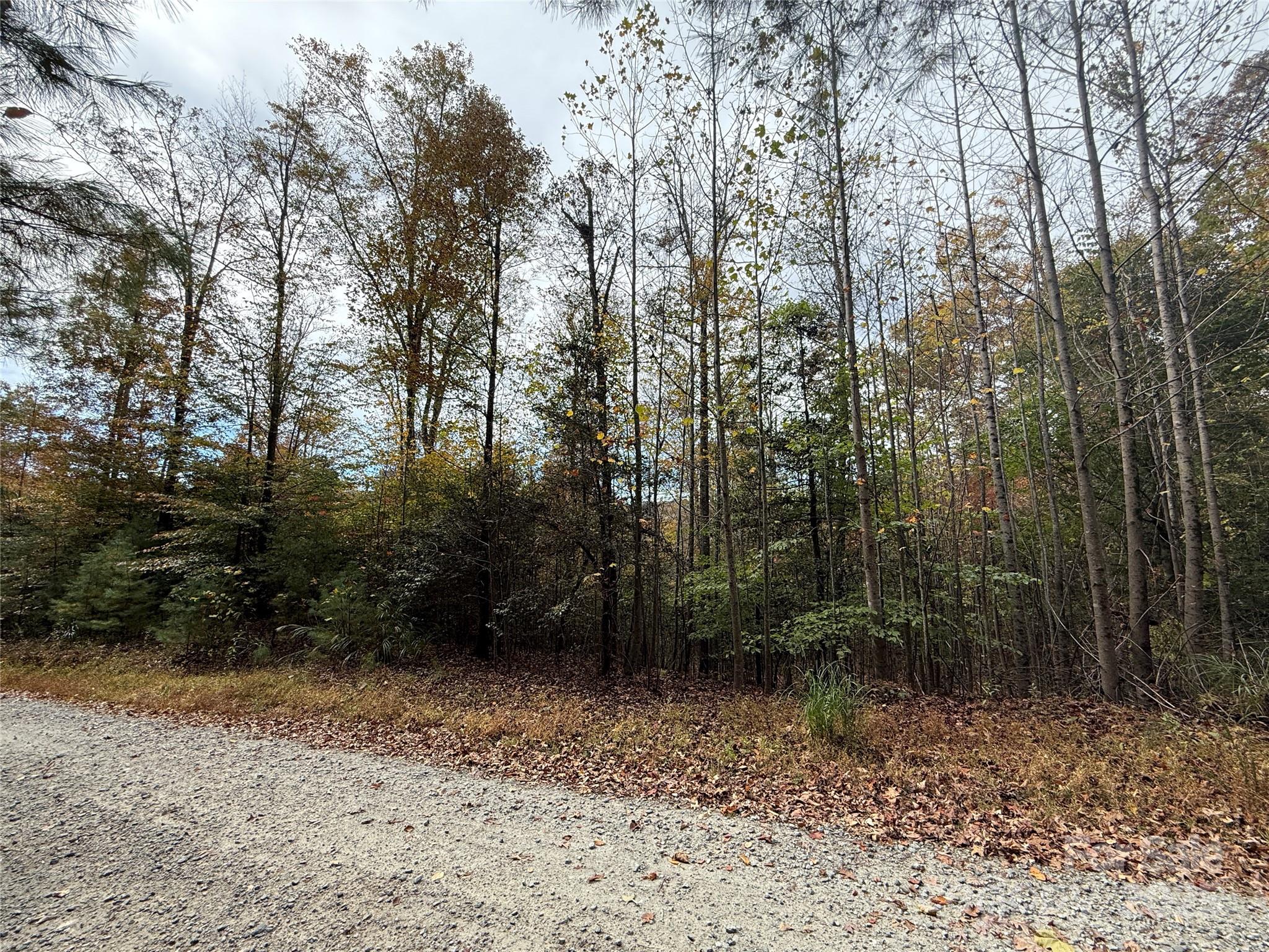 MASTERPIECE MEADOWS - Land