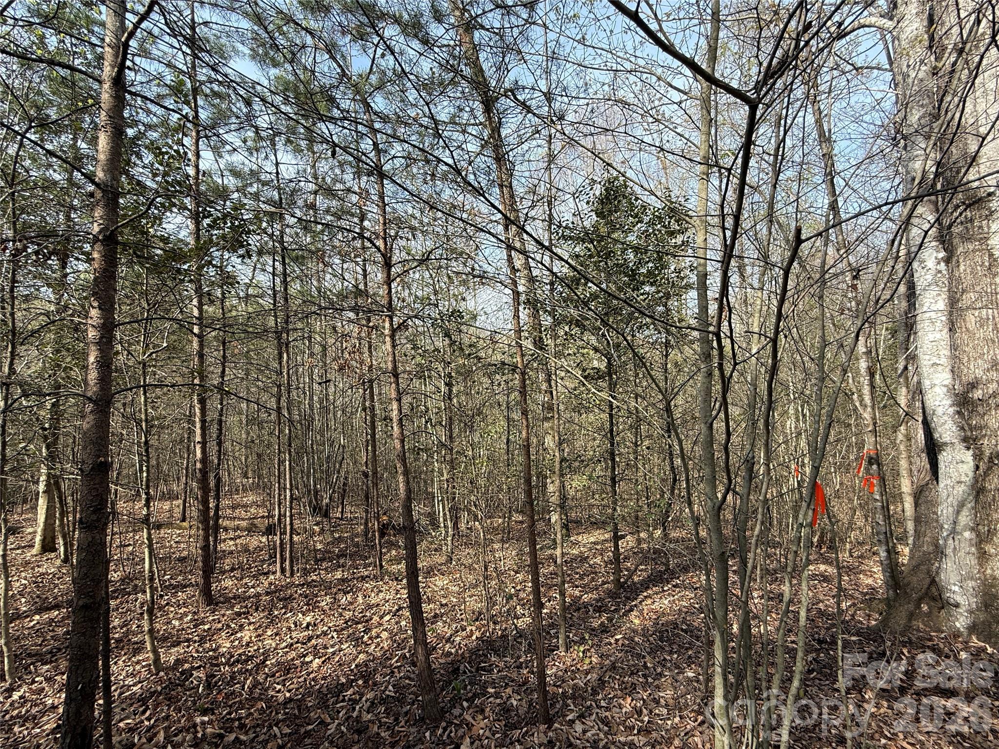 MASTERPIECE MEADOWS - Land