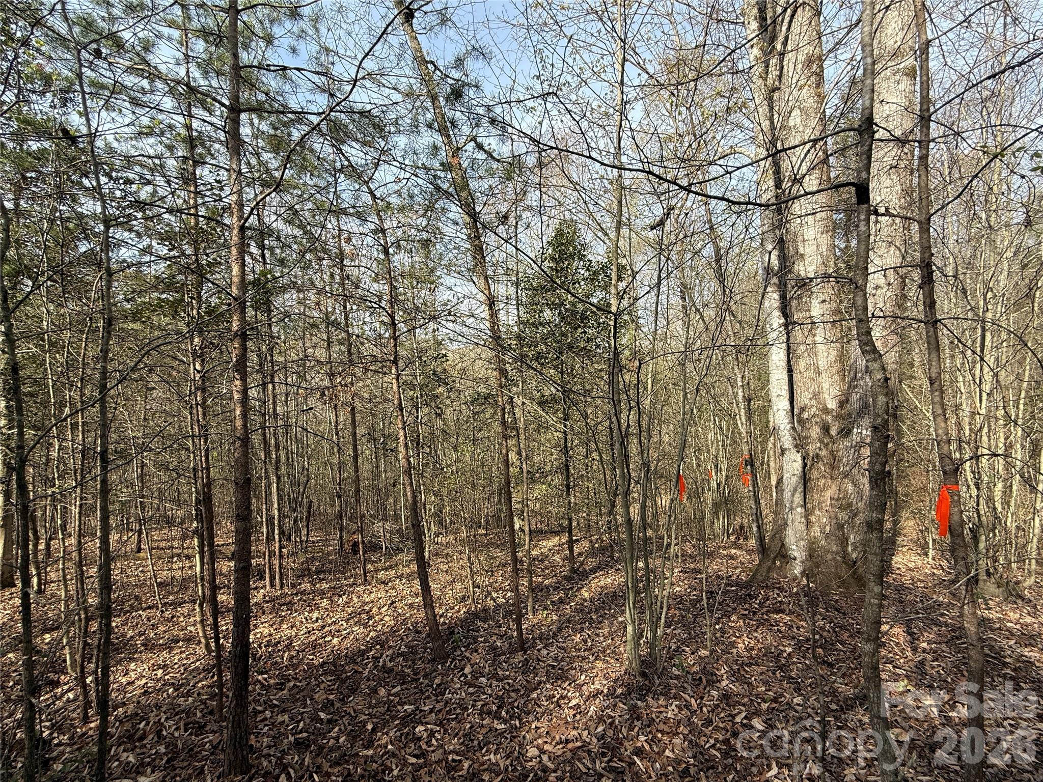 MASTERPIECE MEADOWS - Land