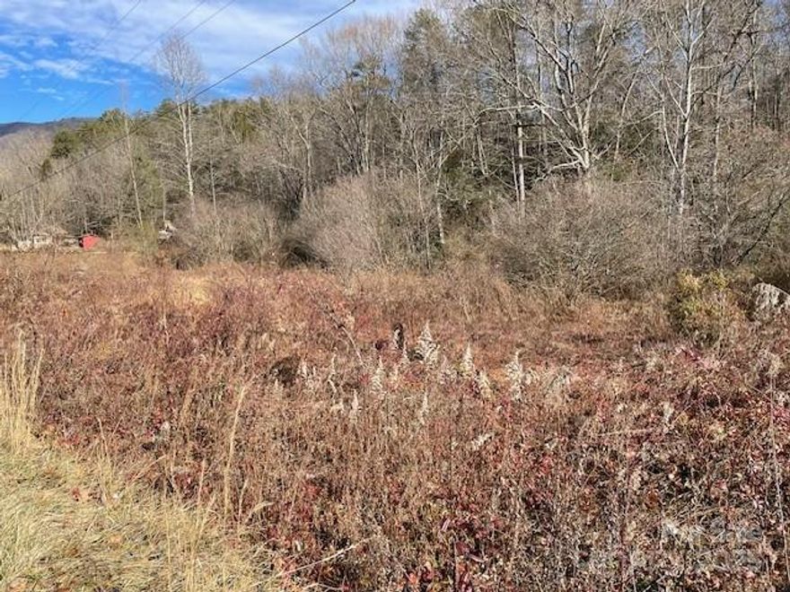 Vacant level to sloping lot with .84 acres per deed and survey - It has road frontage on Mackeys Creek Road and Hwy 70 West - It borders a branch on the back side of the property - No restrictions so it has multiple uses!  Owner/Broker