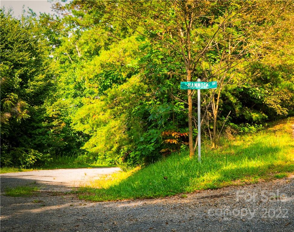 Brook Hollow Estates - Land