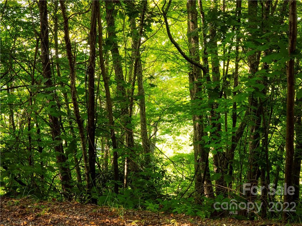 Brook Hollow Estates - Land