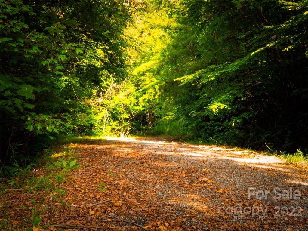 Brook Hollow Estates - Land