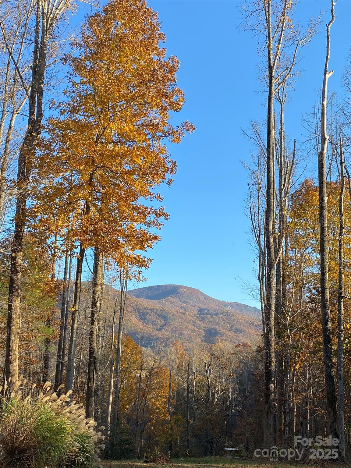 Hickory Falls - Residential