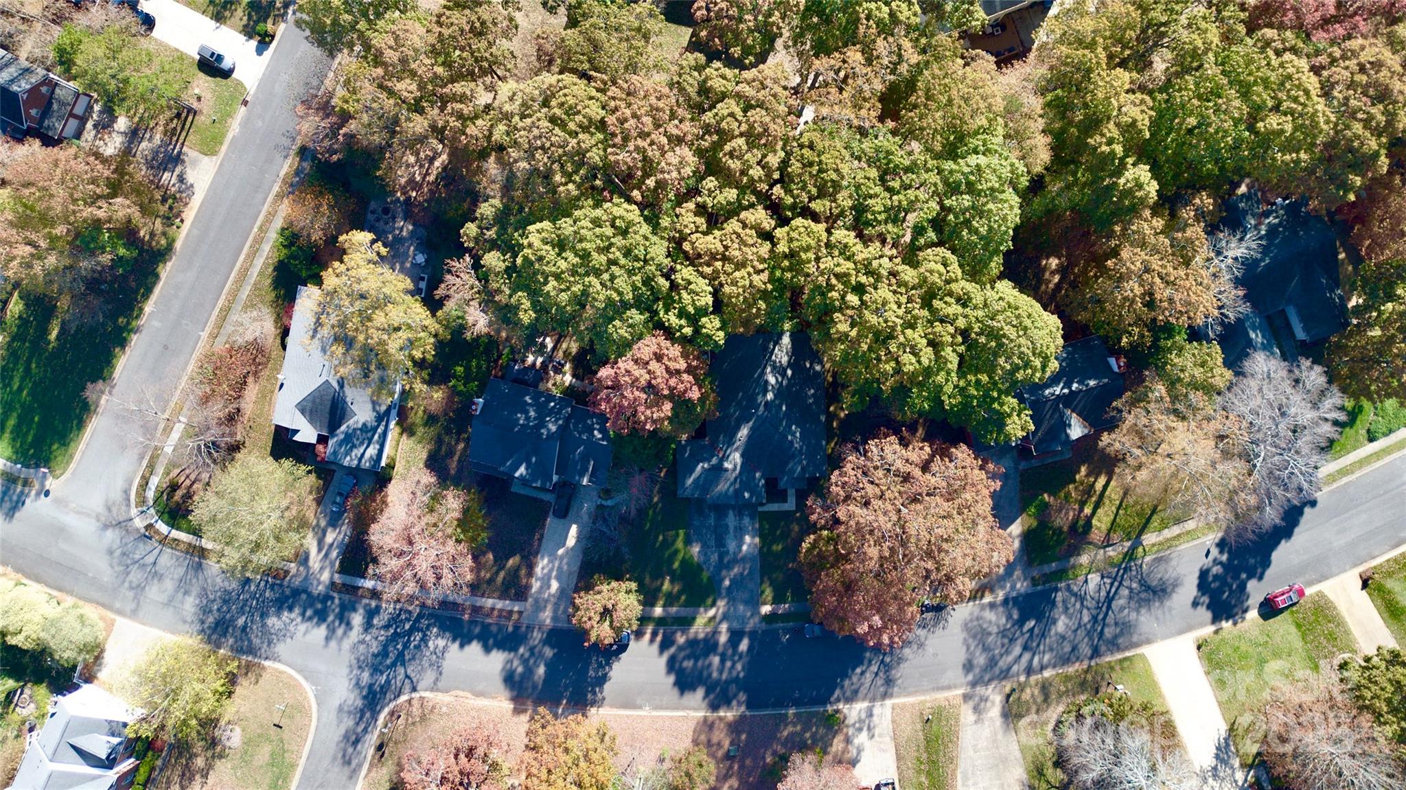 Olde Sycamore - Residential