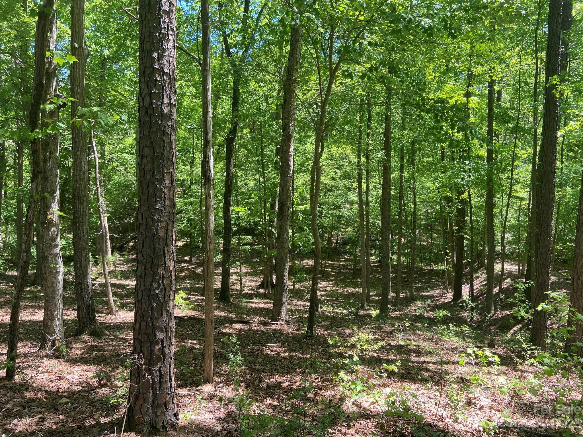 Swift Island Plantation - Land