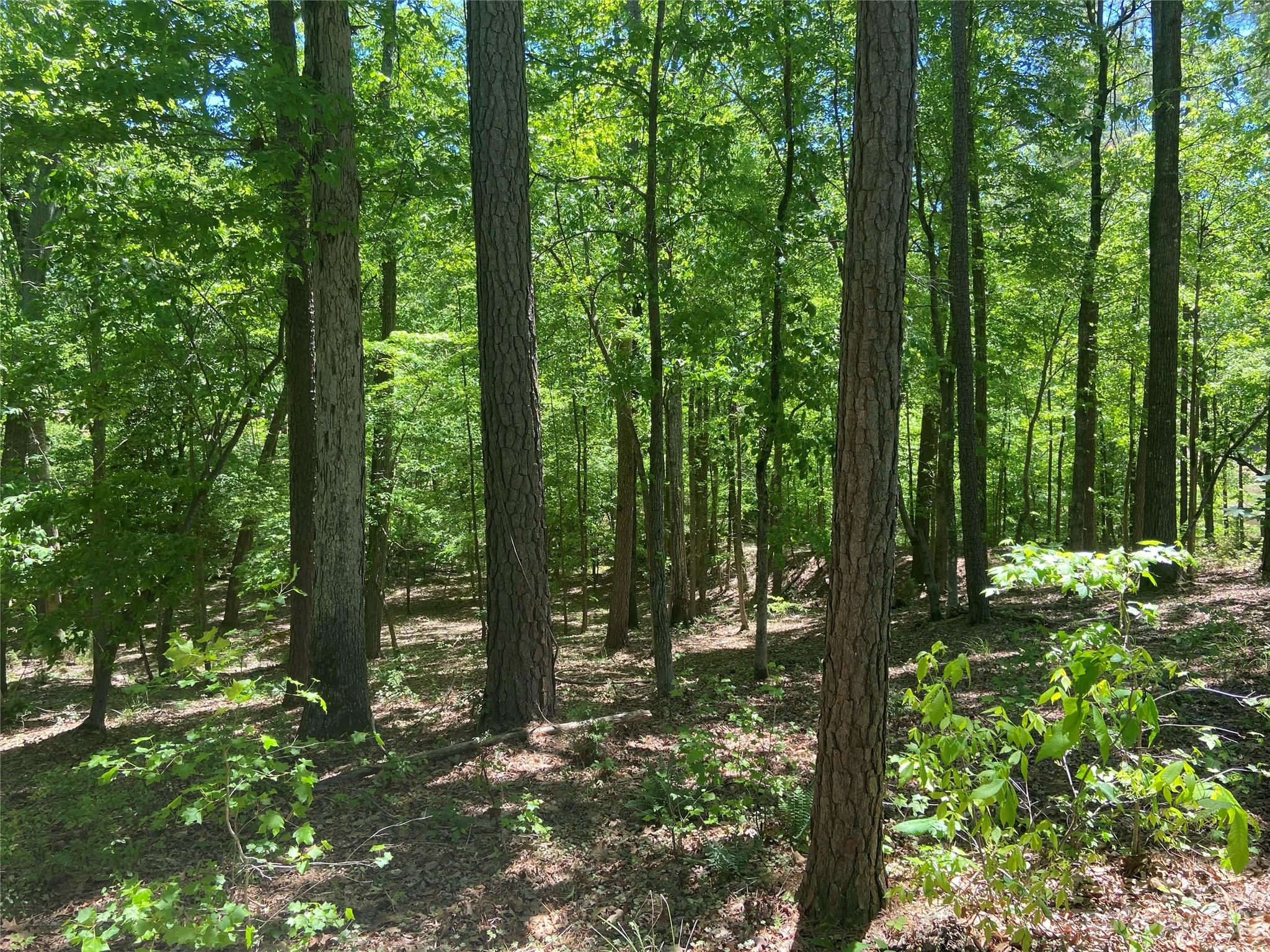 Swift Island Plantation - Land