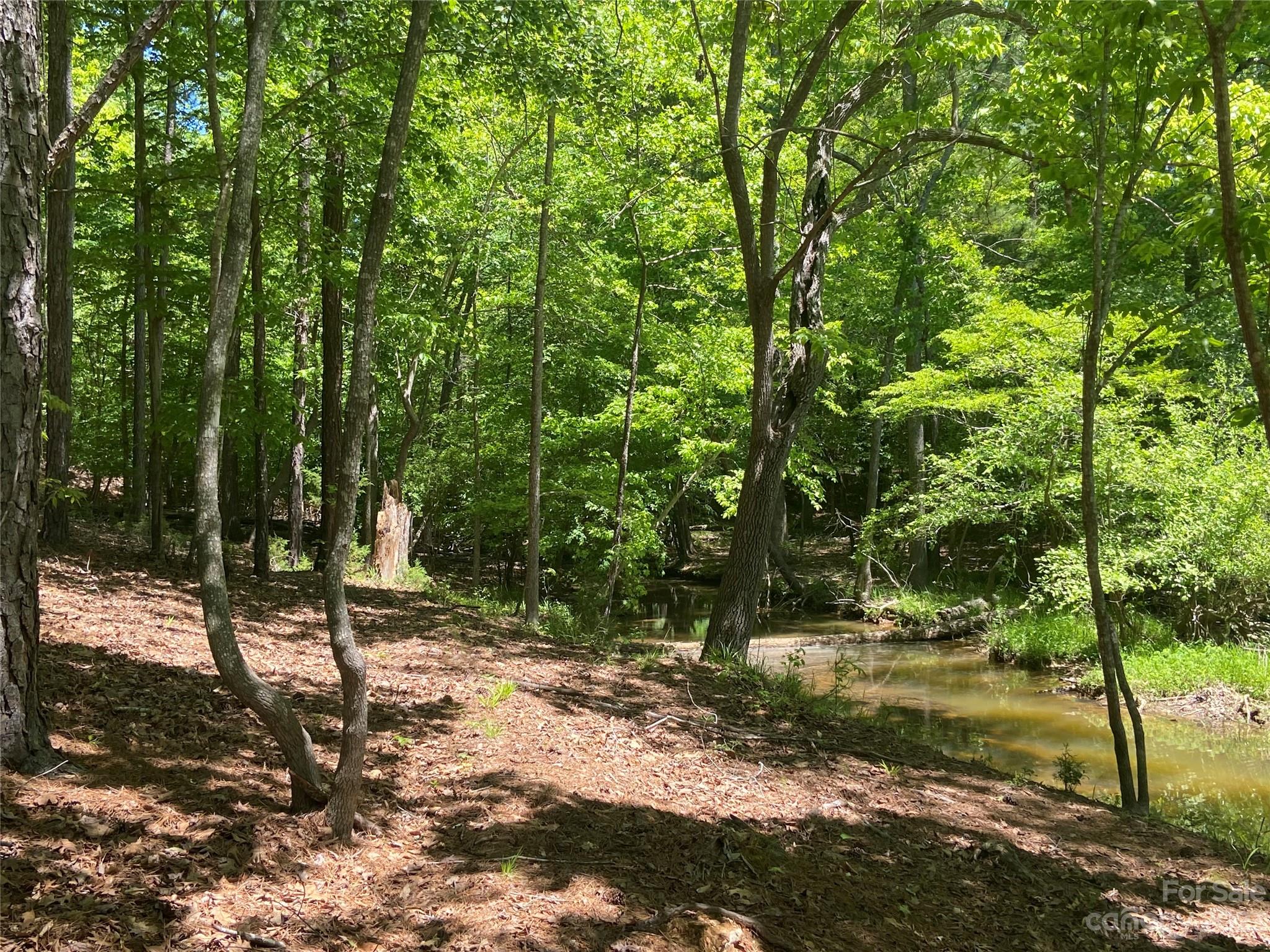 Swift Island Plantation - Land