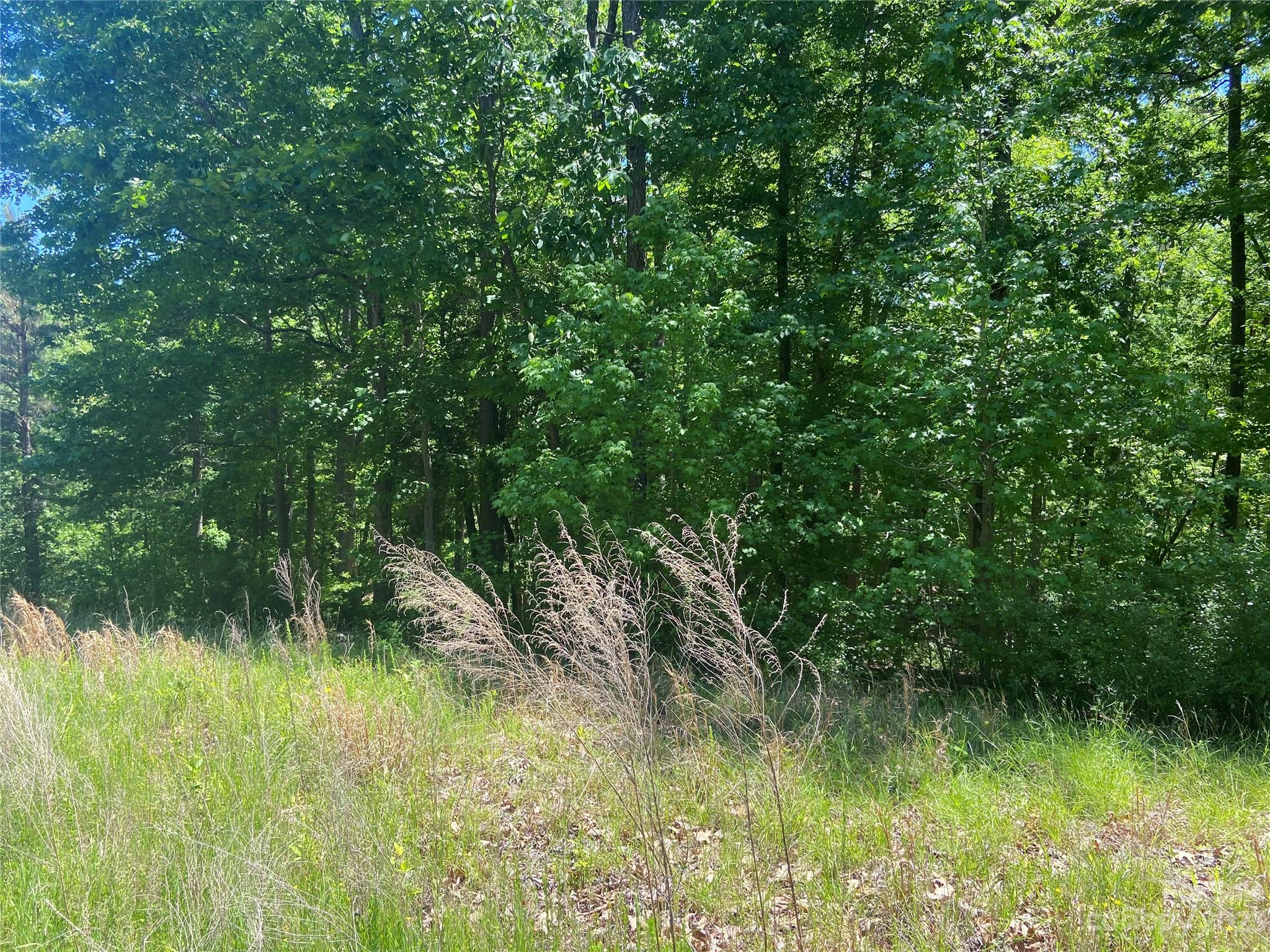 Swift Island Plantation - Land