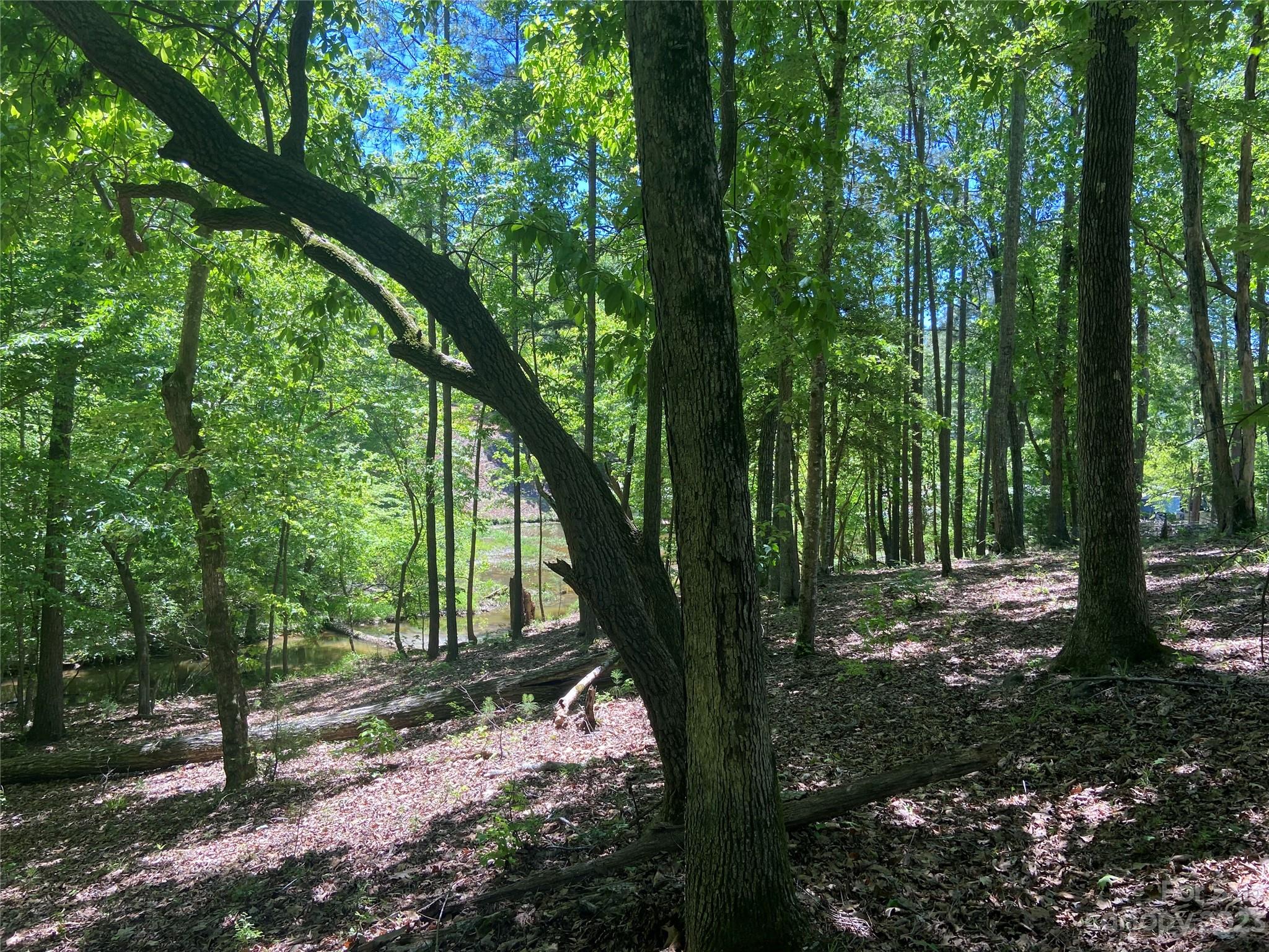 Swift Island Plantation - Land