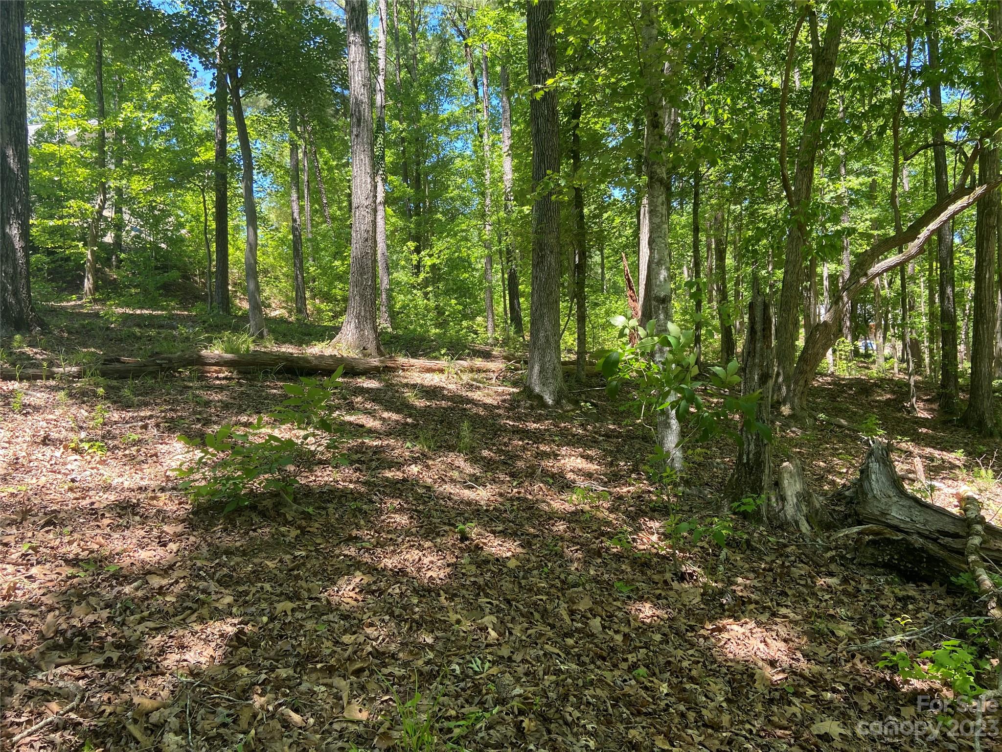 Swift Island Plantation - Land