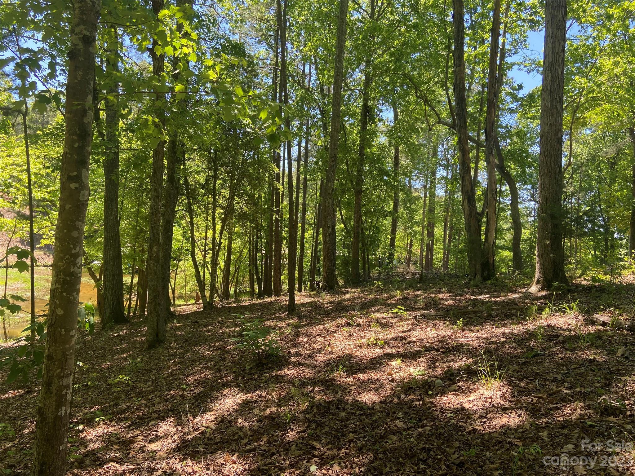 Swift Island Plantation - Land