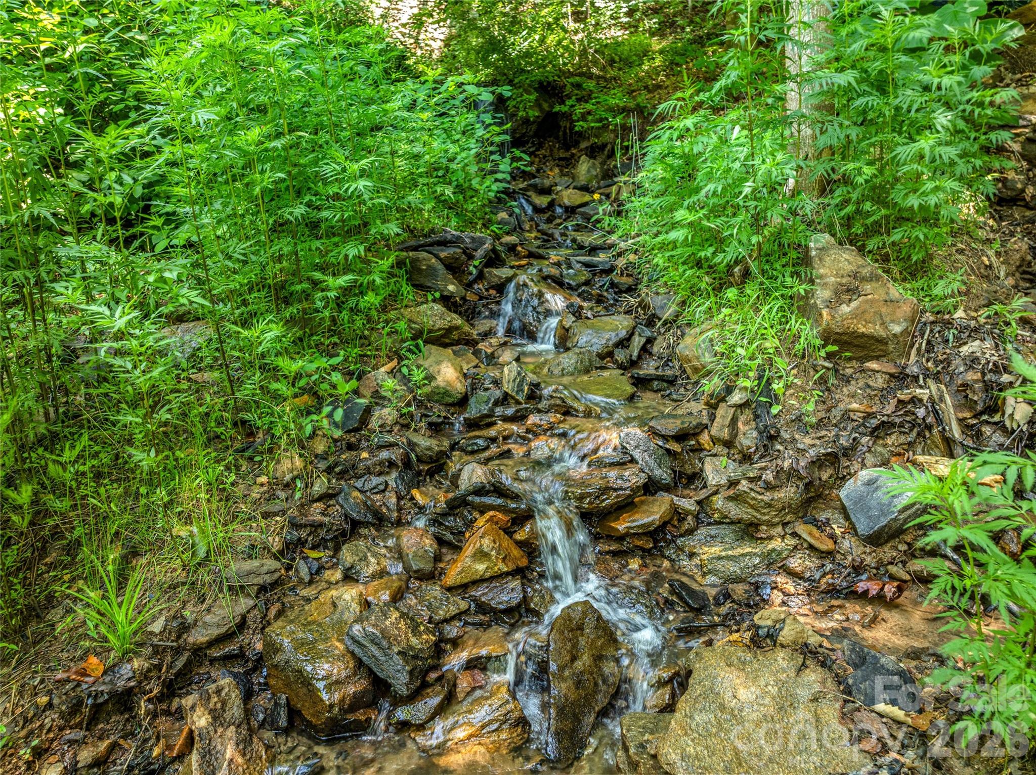 Sondley Estates - Residential