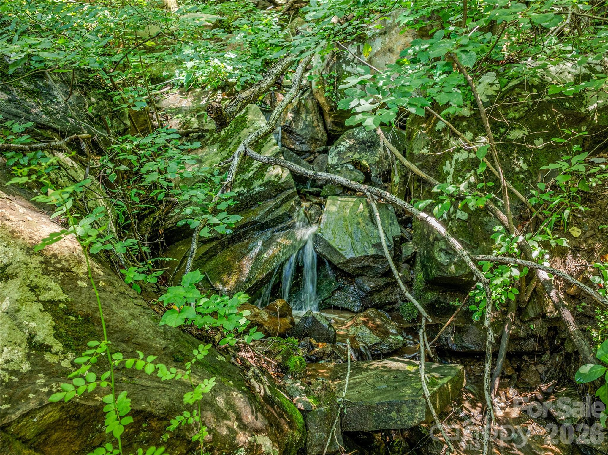 Sondley Estates - Residential