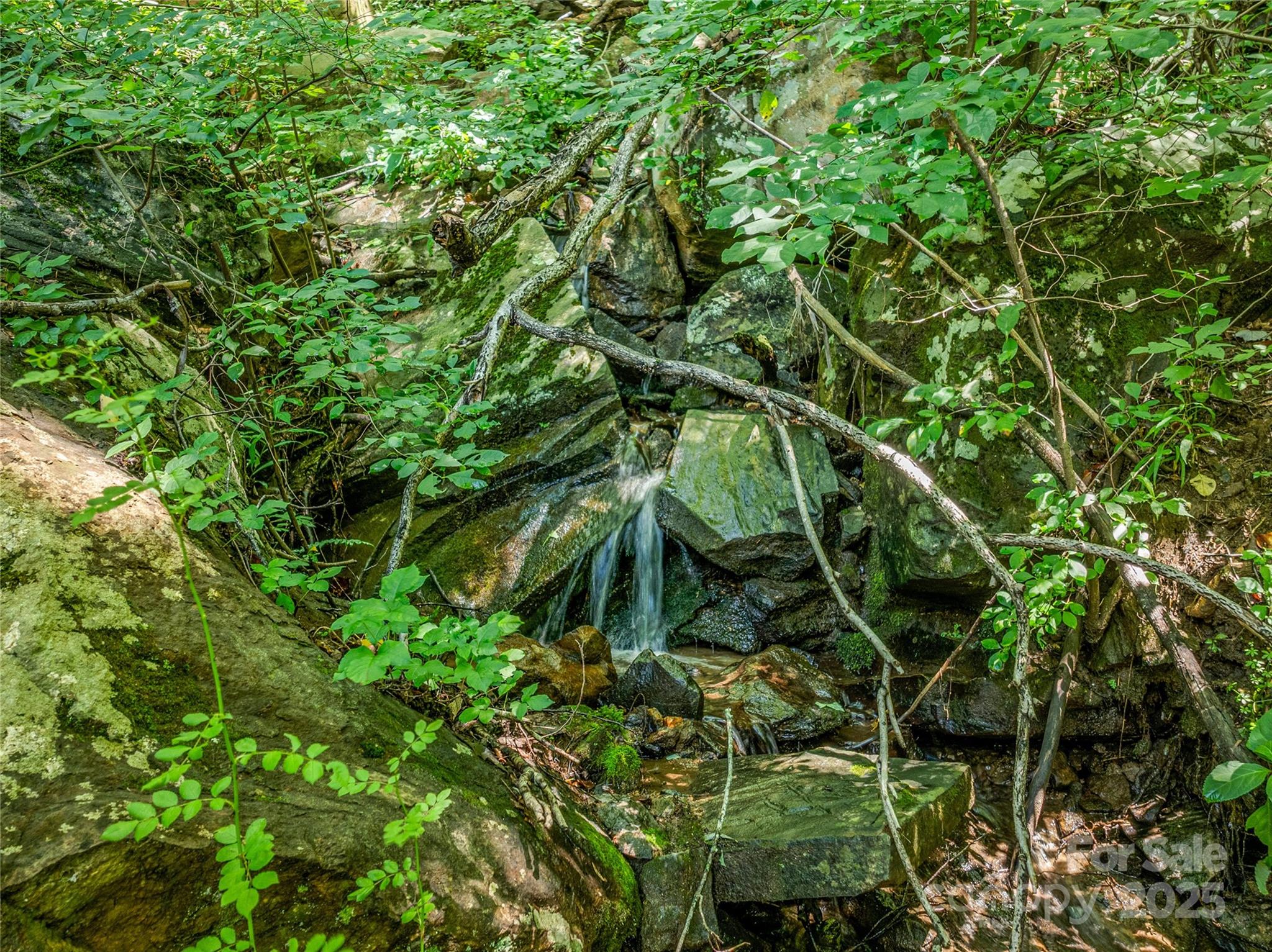 Sondley Estates - Residential