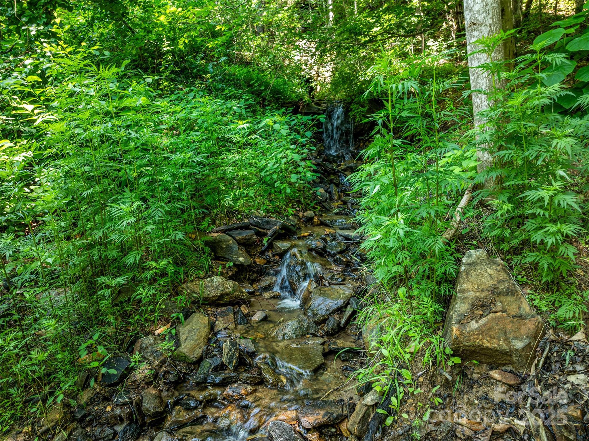 Sondley Estates - Residential