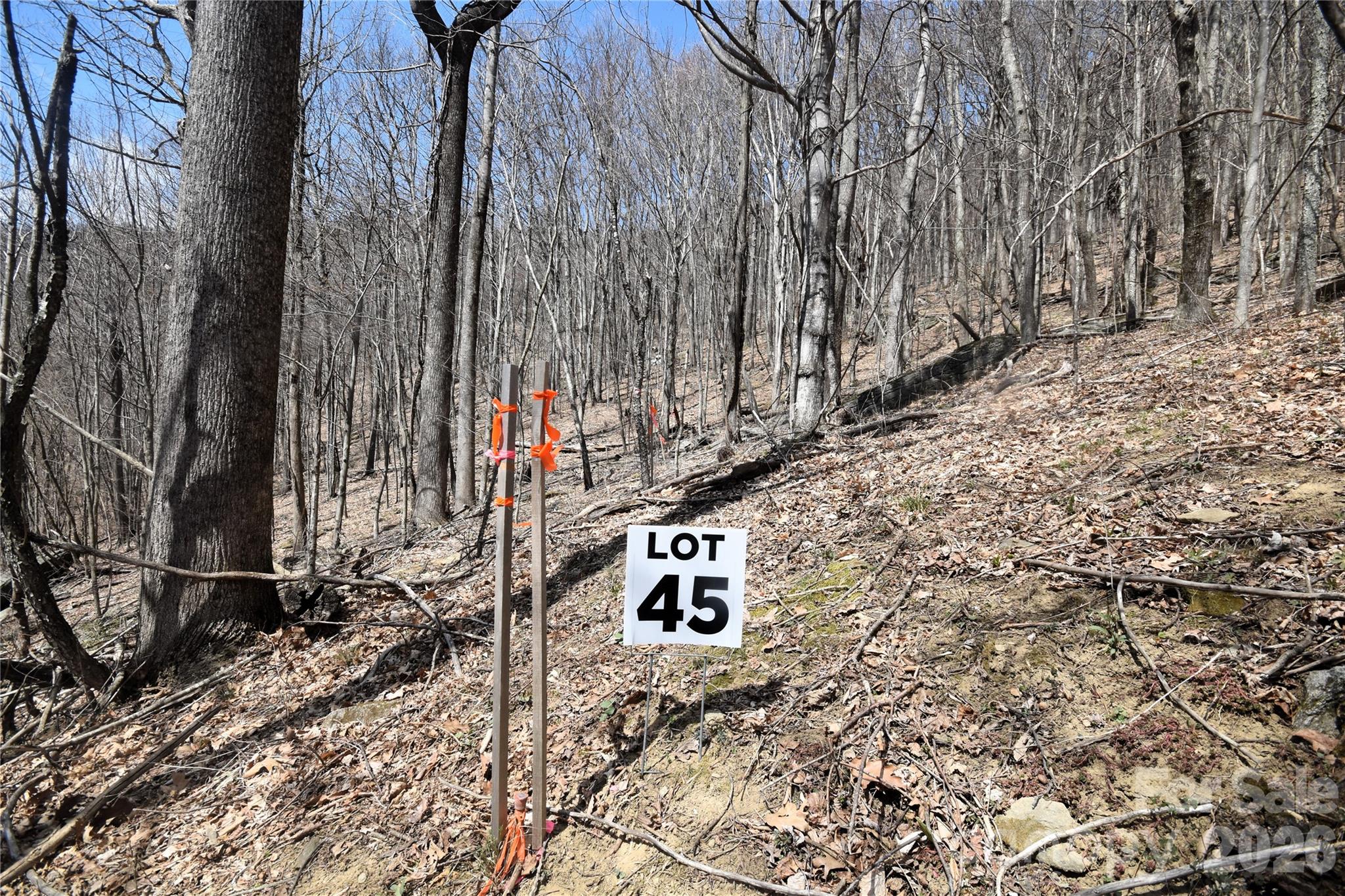 45 Prosperity Ridge 45