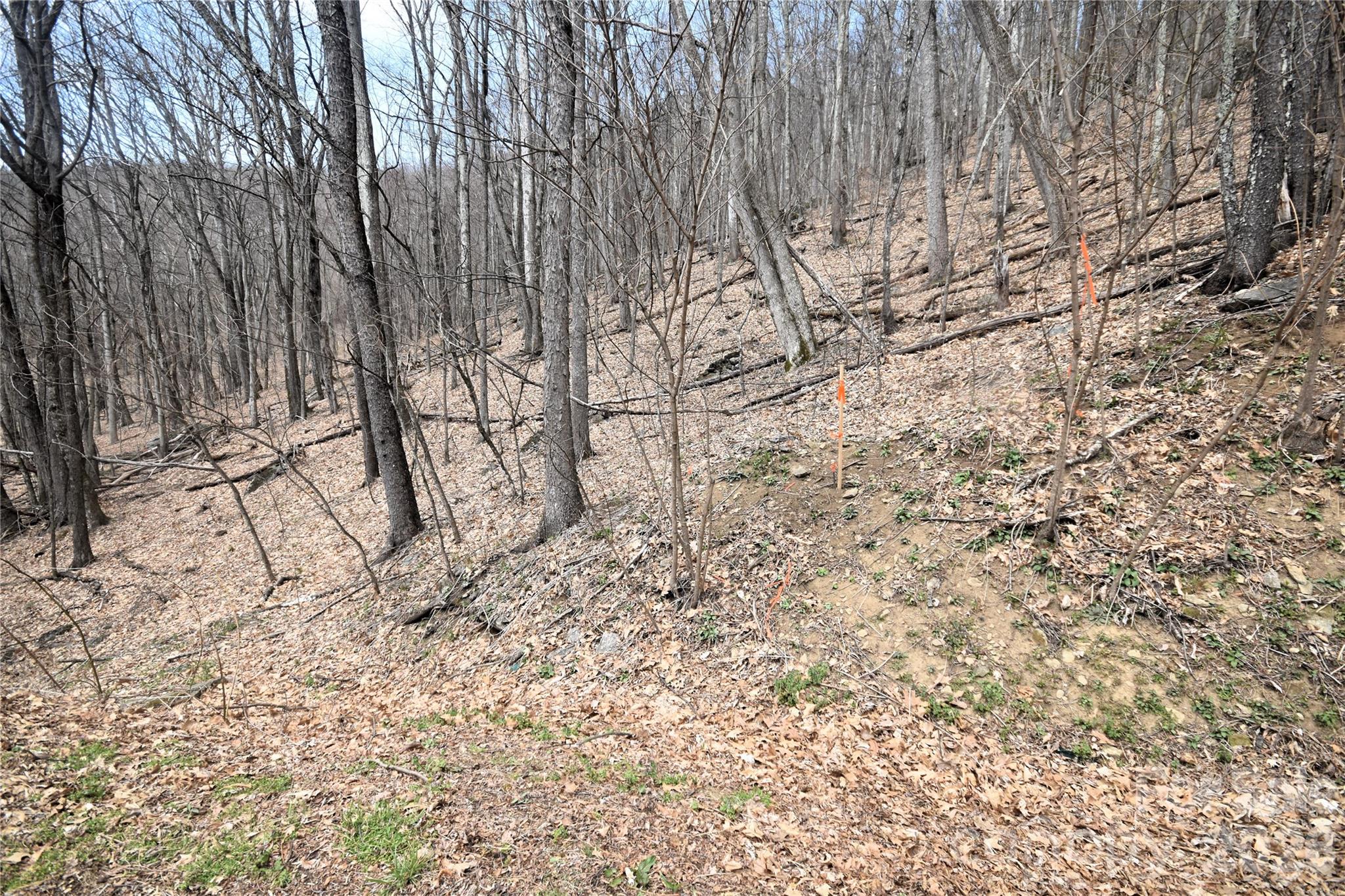 45 Prosperity Ridge 45