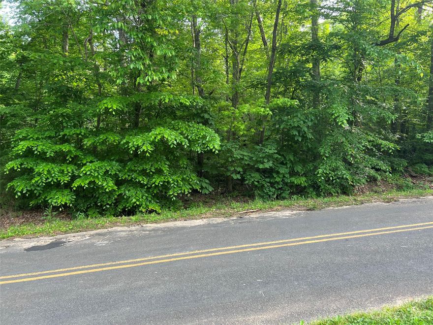 Perked for 5 bedrooms! See permit in attachments showing placement for building. Beautiful private property in Clover ready for you to build your dream home.  225 feet of road frontage and lot is a perfect rectangle. Land comes with  all hard woods and is ready to be cleared for you to build. Very private and close to all Clover schools and 5 minutes from downtown Clover. Highly desirable location.  Land CANNOT be subdivided but you can build more than one house on land if you want. Has beautiful running creek and trees and remains of an old historic chimney. Don't miss out on this amazing opportunity!!!