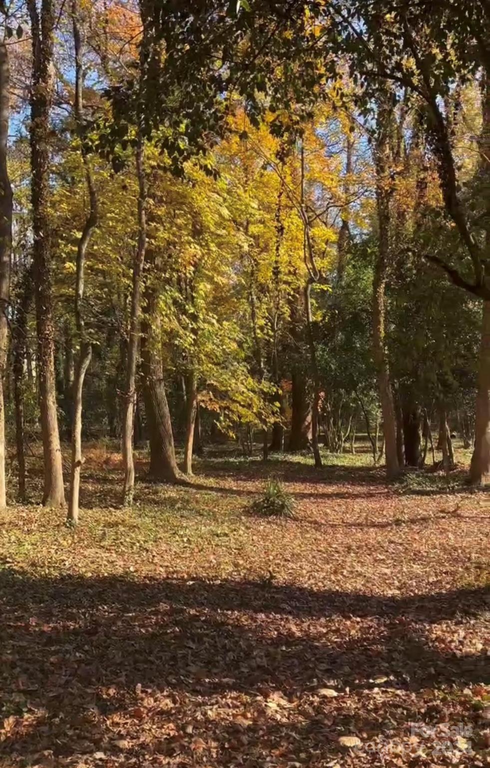 Mammoth Oaks - Land