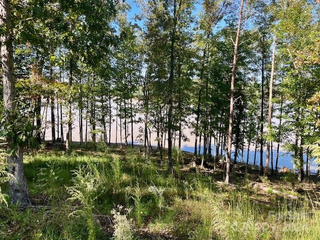 Lakeside Reserve - Land