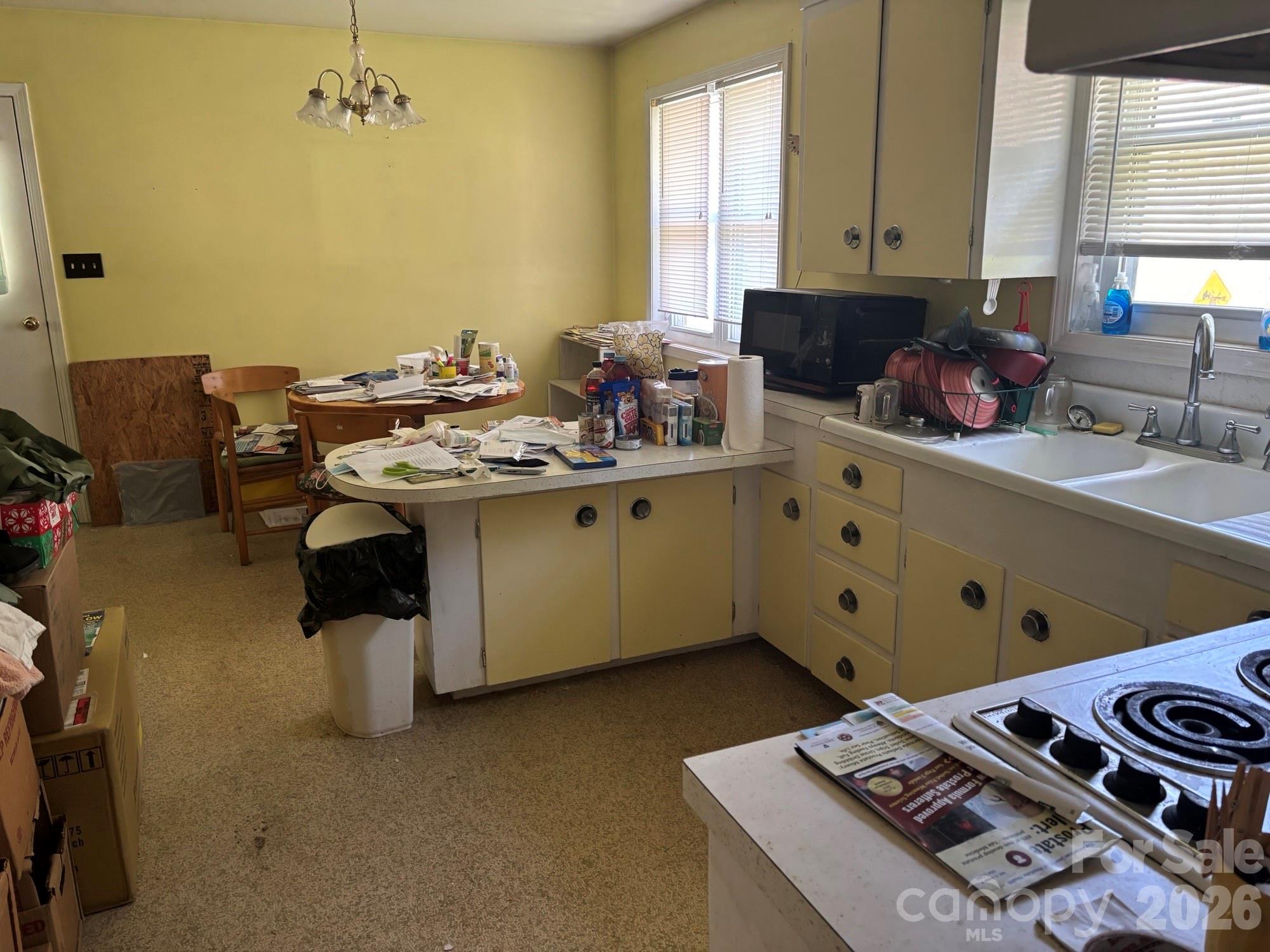 637 Toe Cane Road
