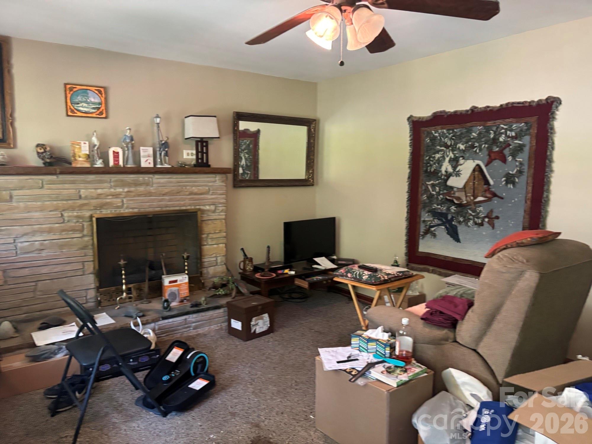 637 Toe Cane Road