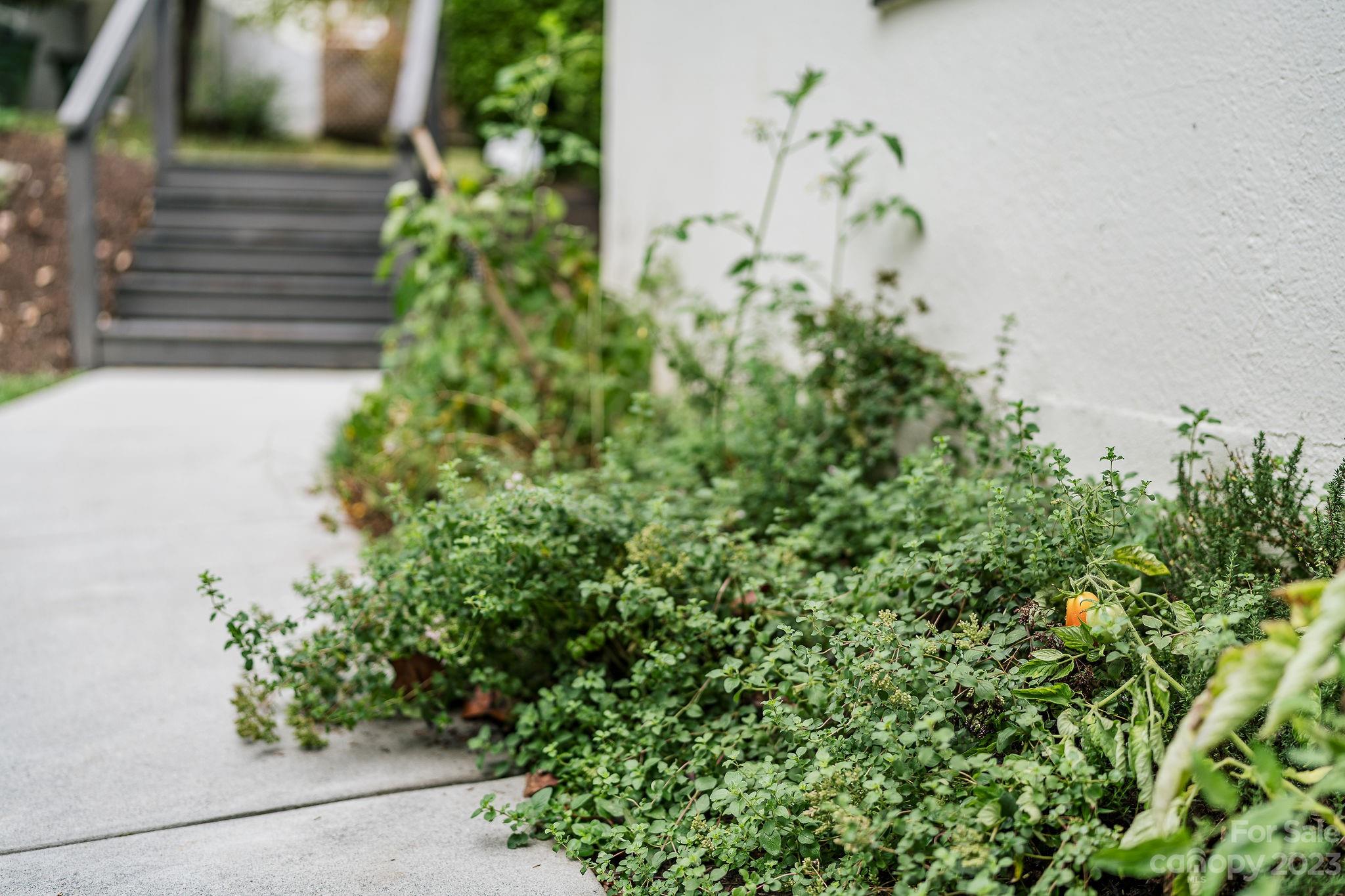 Kenilworth - Residential