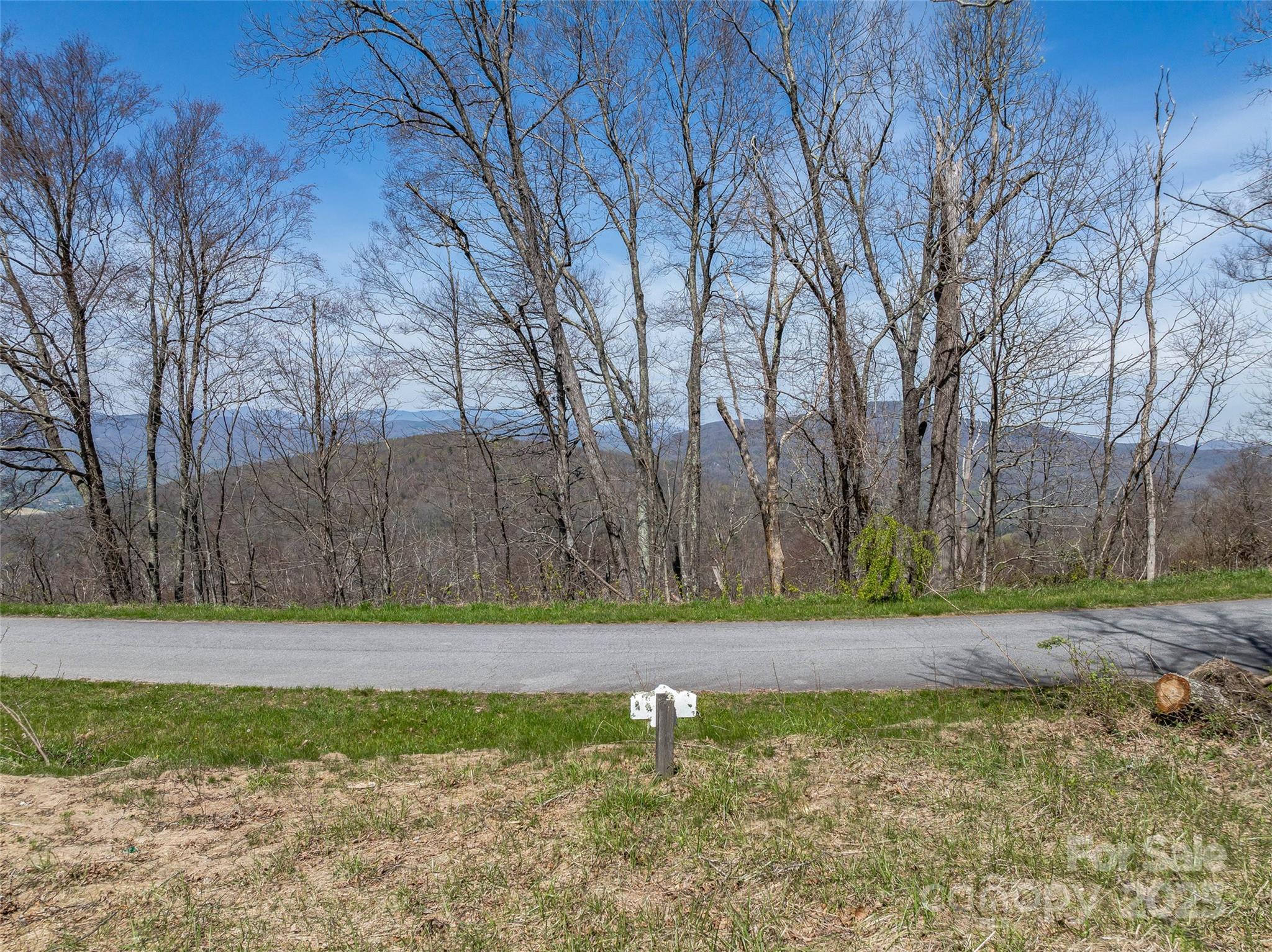 56 Snow Ridge Drive 9
