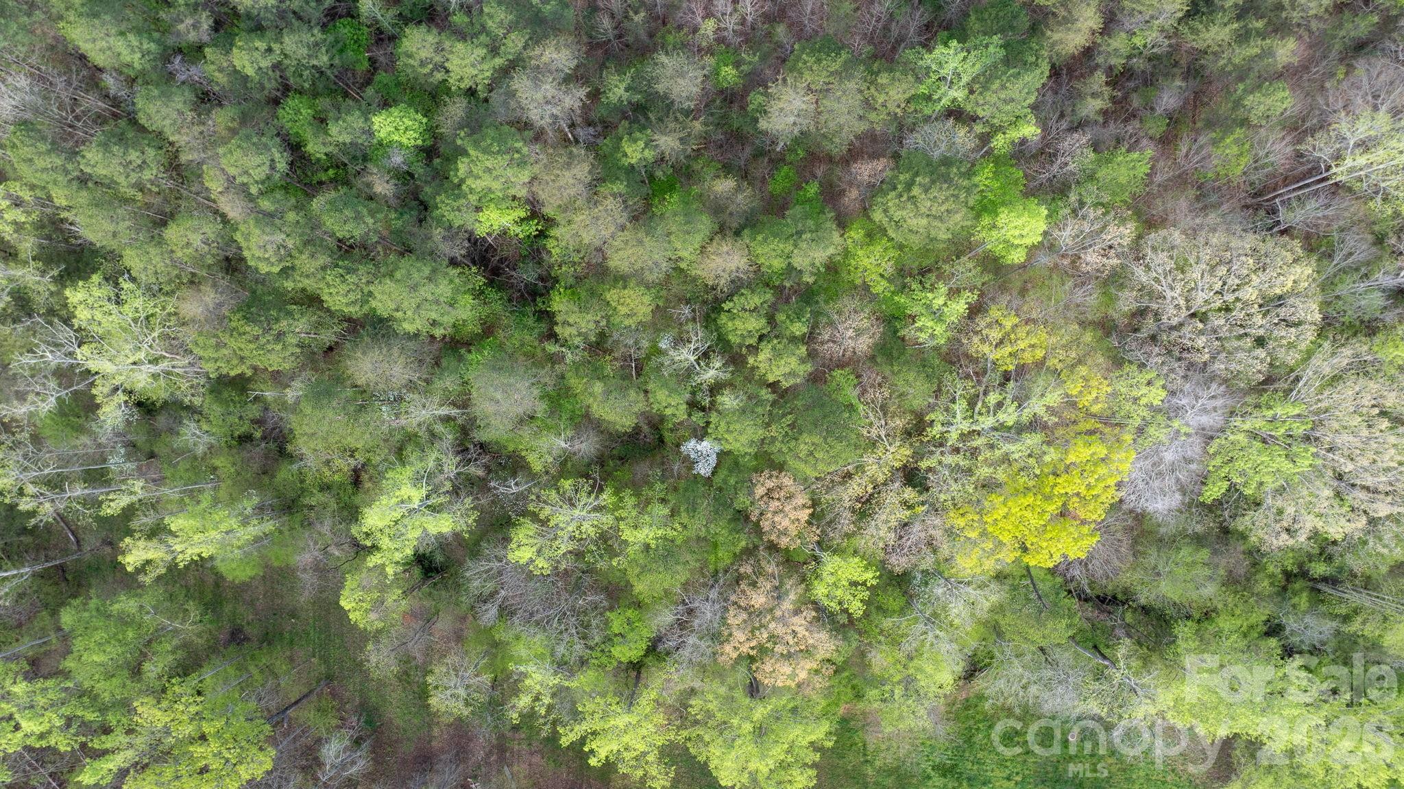 Sigmont Hills - Land