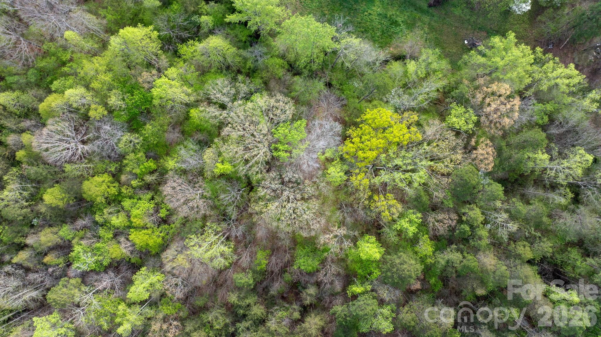 Sigmont Hills - Land