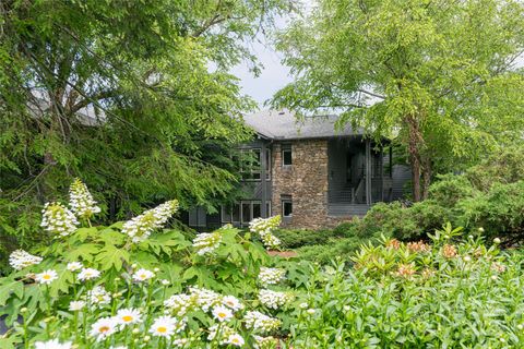 400 Charlotte Street 402 Asheville NC 28801